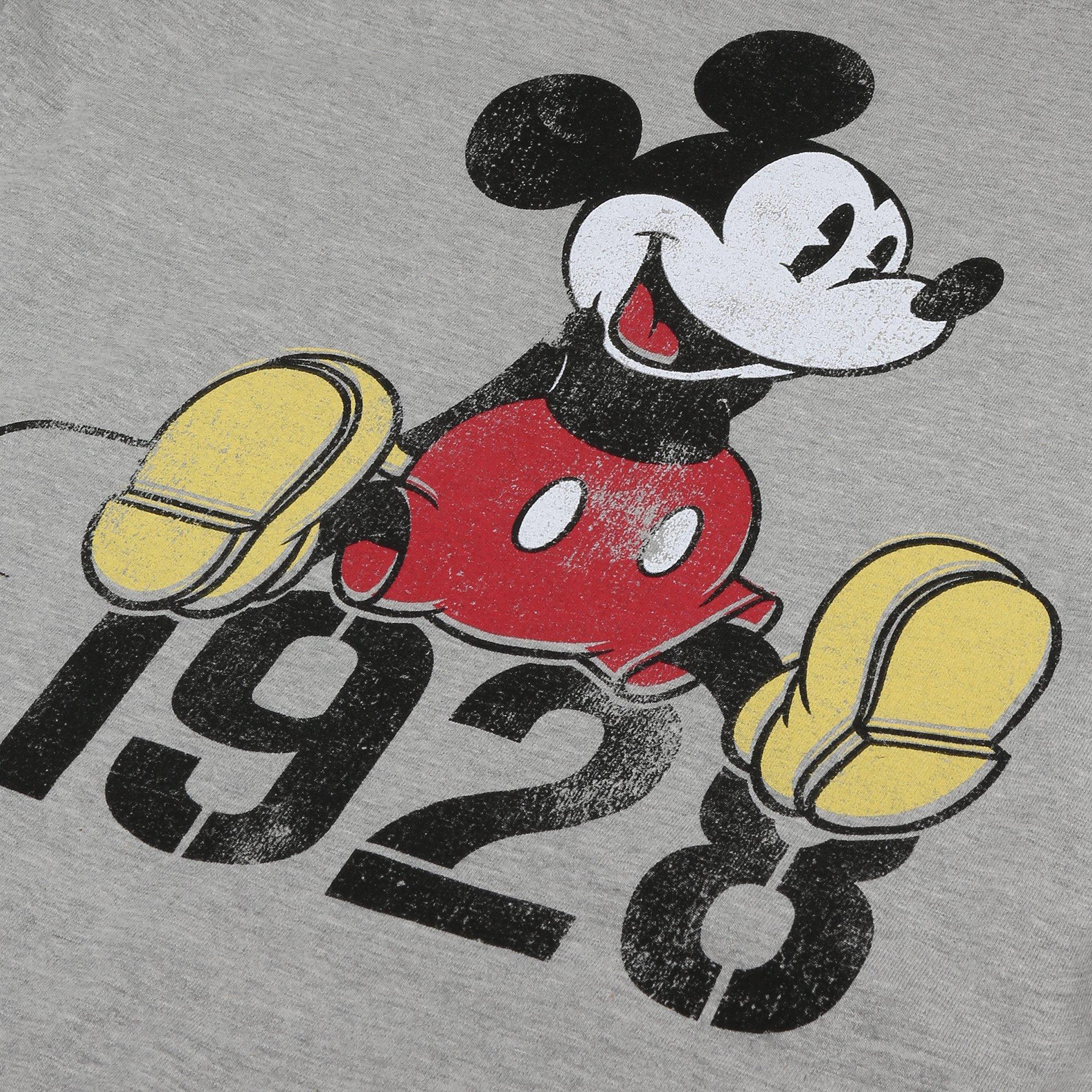Grey - Disney - Regular Fit T-Shirt - 4