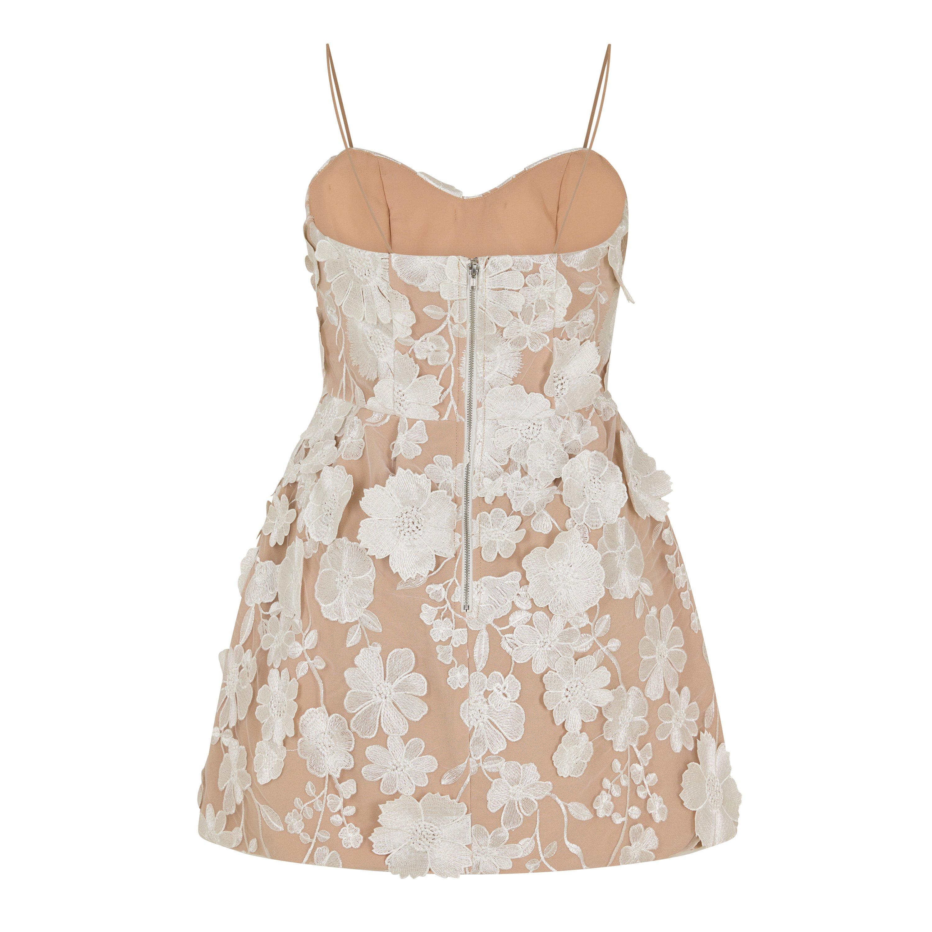 Ivory - Jarlo - Jarlo Ronie Ld62 - 2