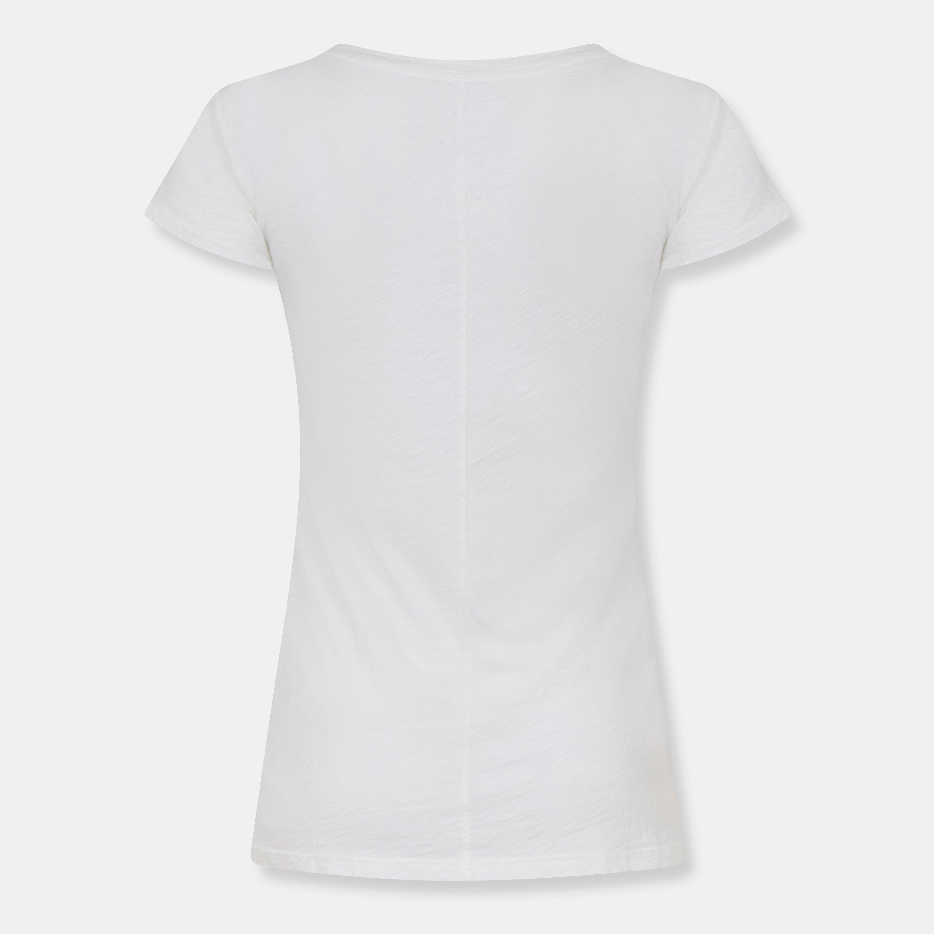 Velvet by Graham and Spencer Women's Regular Fit Slub T-Shirt