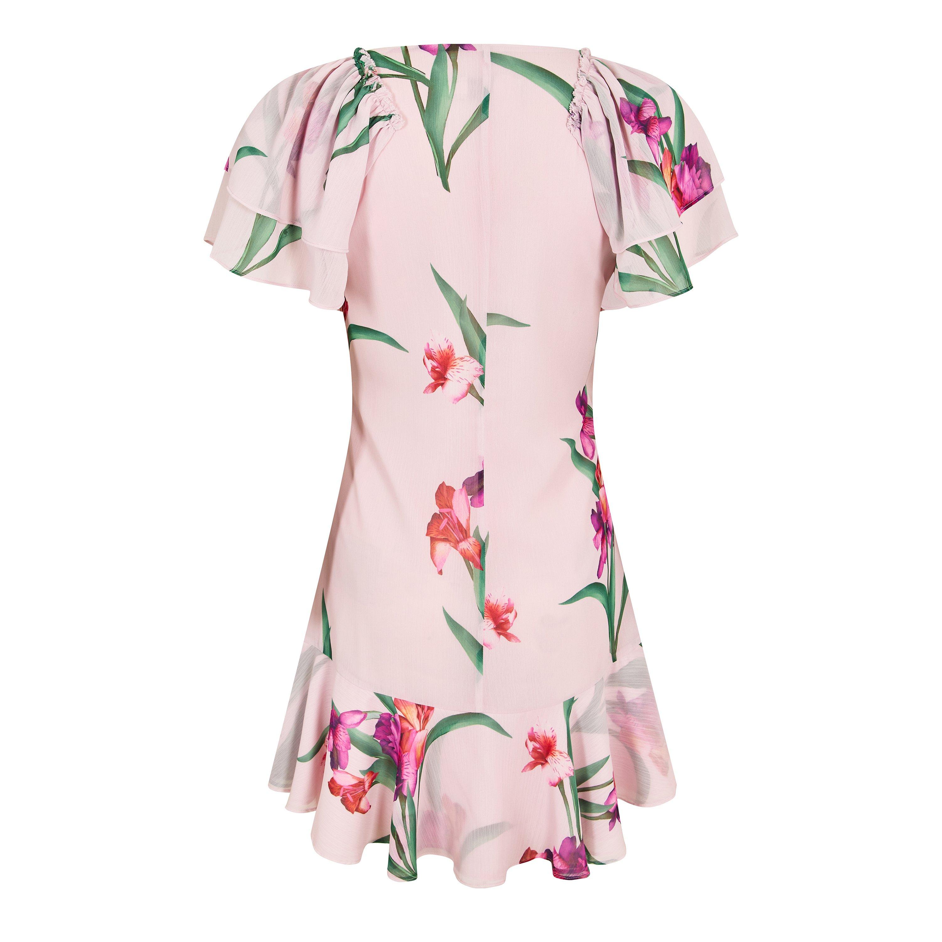 Roze - Ted Baker - Ted  W Mini Dress Ld99 - 2