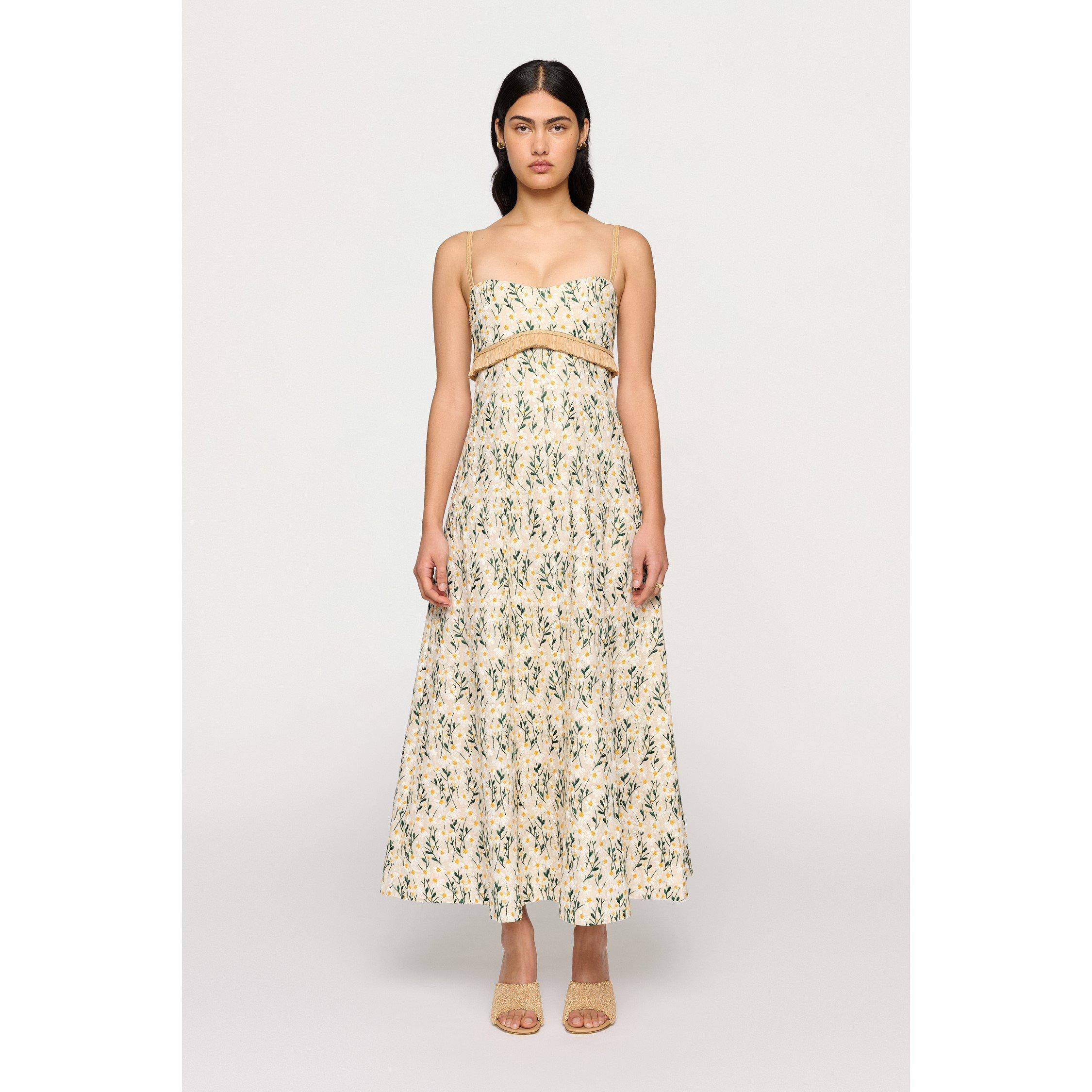 Clea Women's Salvador Midi Swing Dress - Daisy Meadow - M