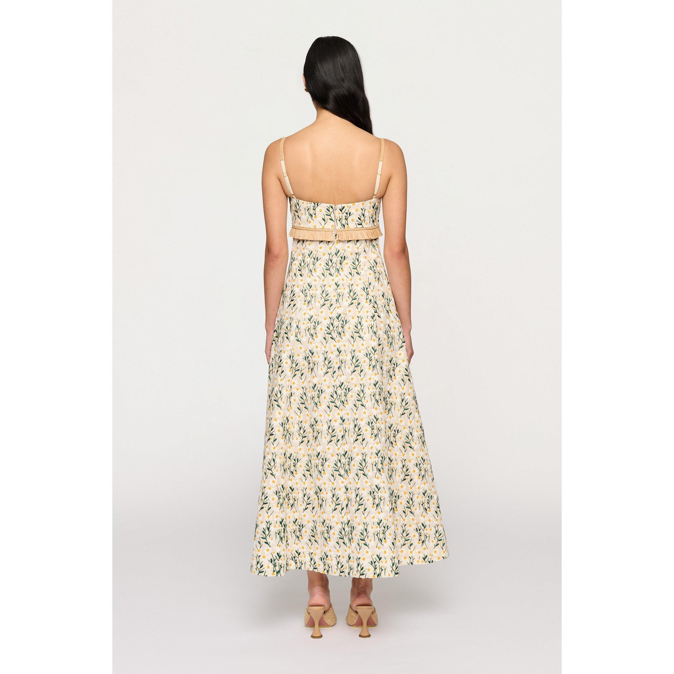 Daisy Meadow - Clea - Women's Salvador Midi Swing Dress - 2