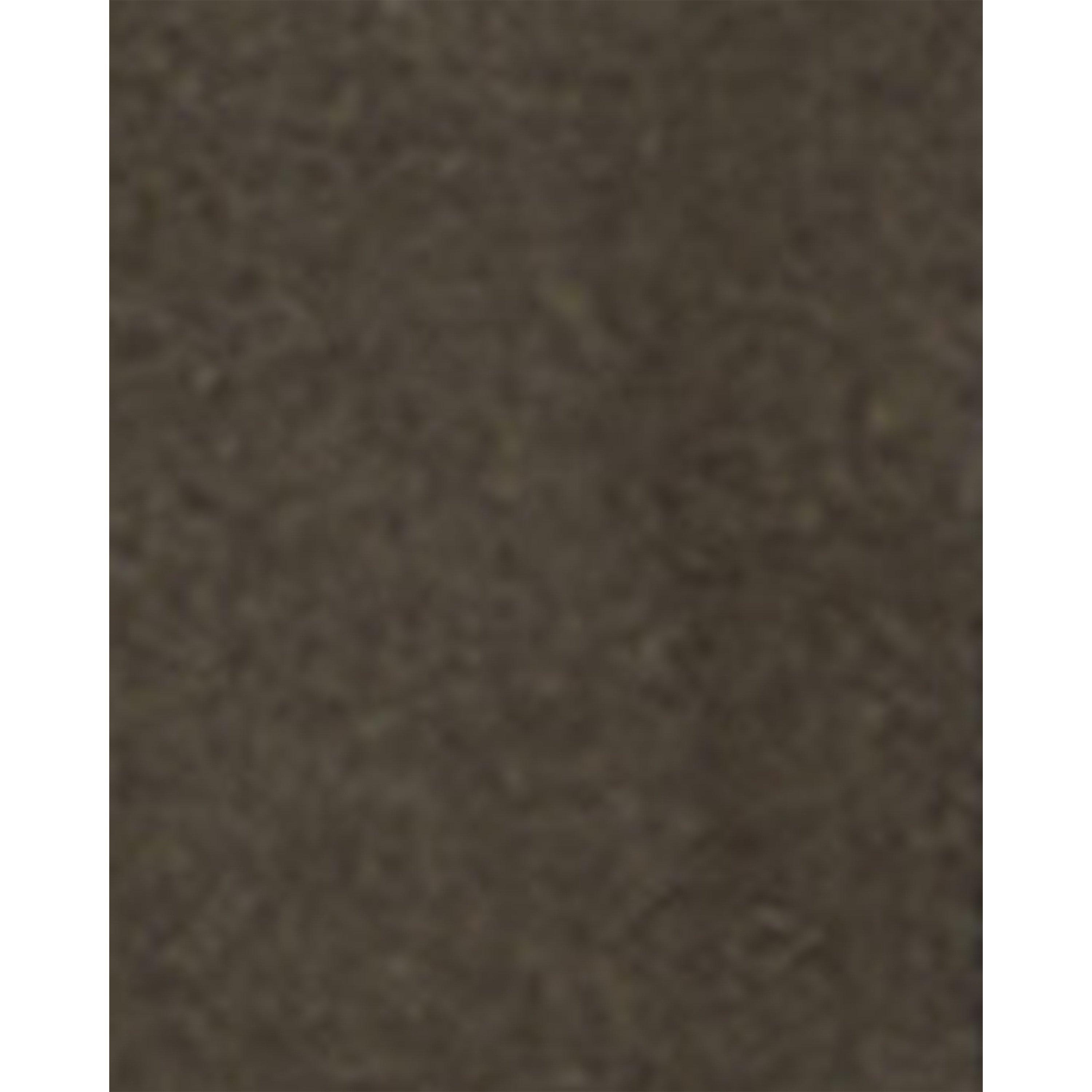 Beech/Birchwood - Barbour - B.Li Icons Beadnell Ld64 - 11