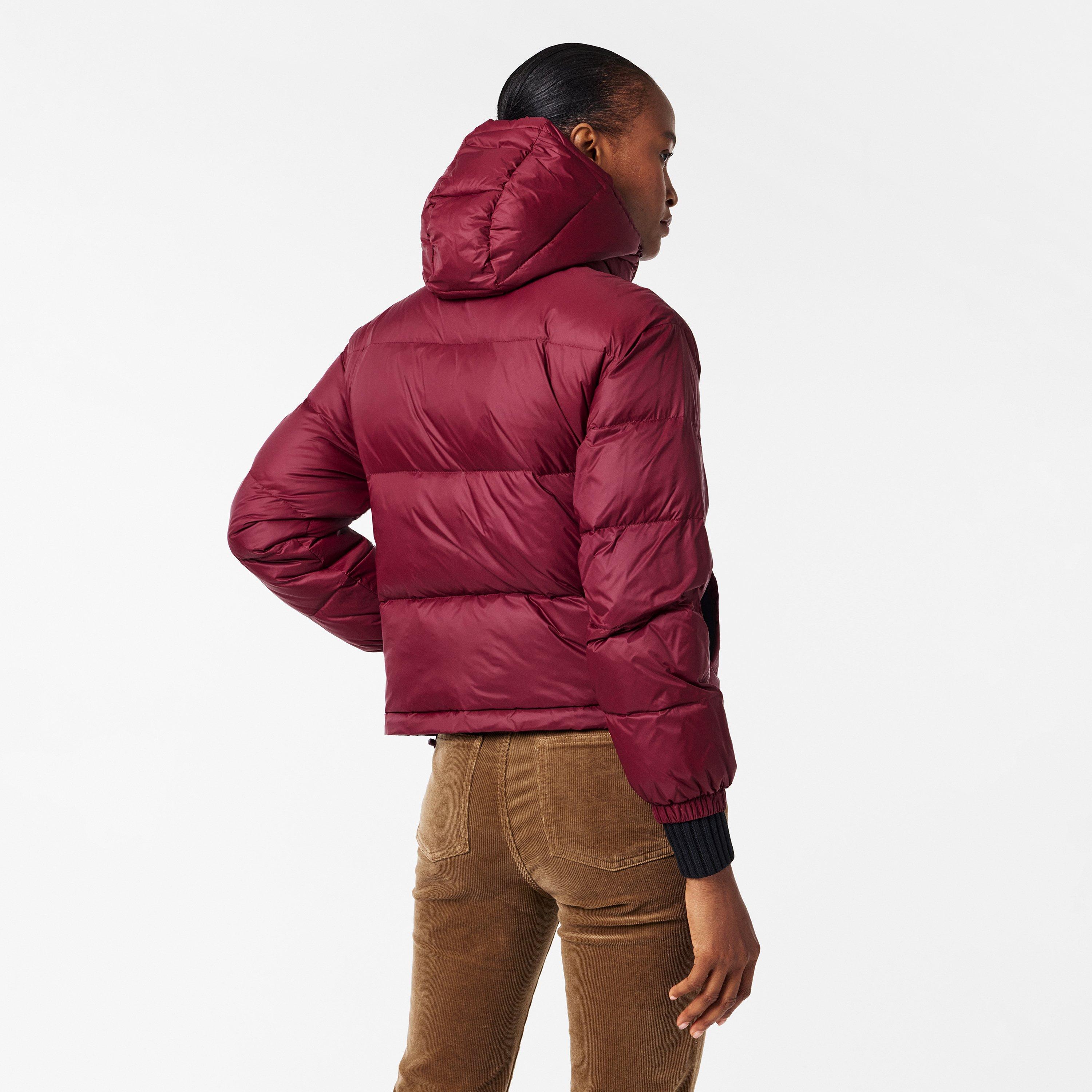 Tawny Port - Calvin Klein Jeans - CKJ Esl Mid Puff Ld54 - 4