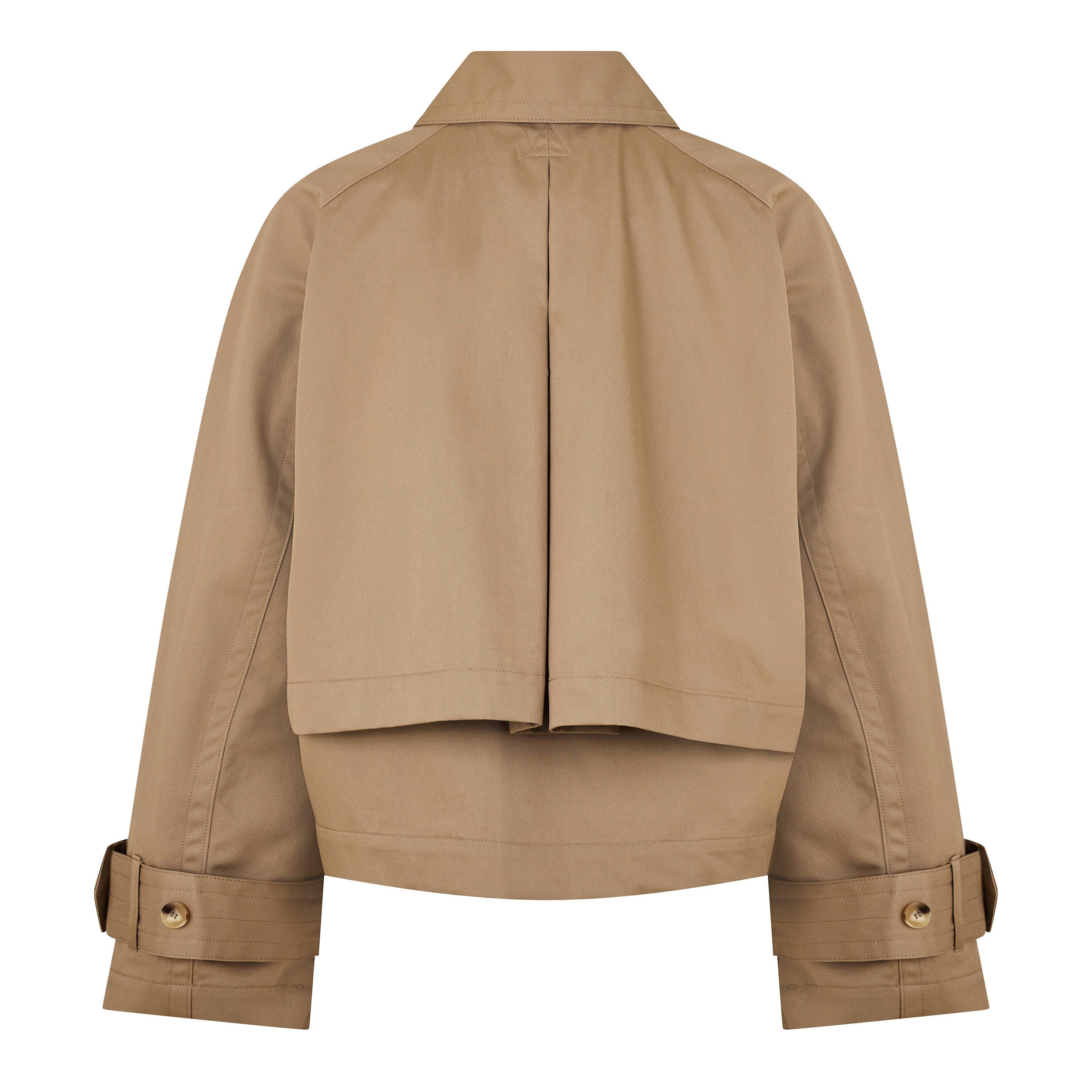 Dk Powder 1254 - Joseph - Joseph Zago Ct Ld61 - 2