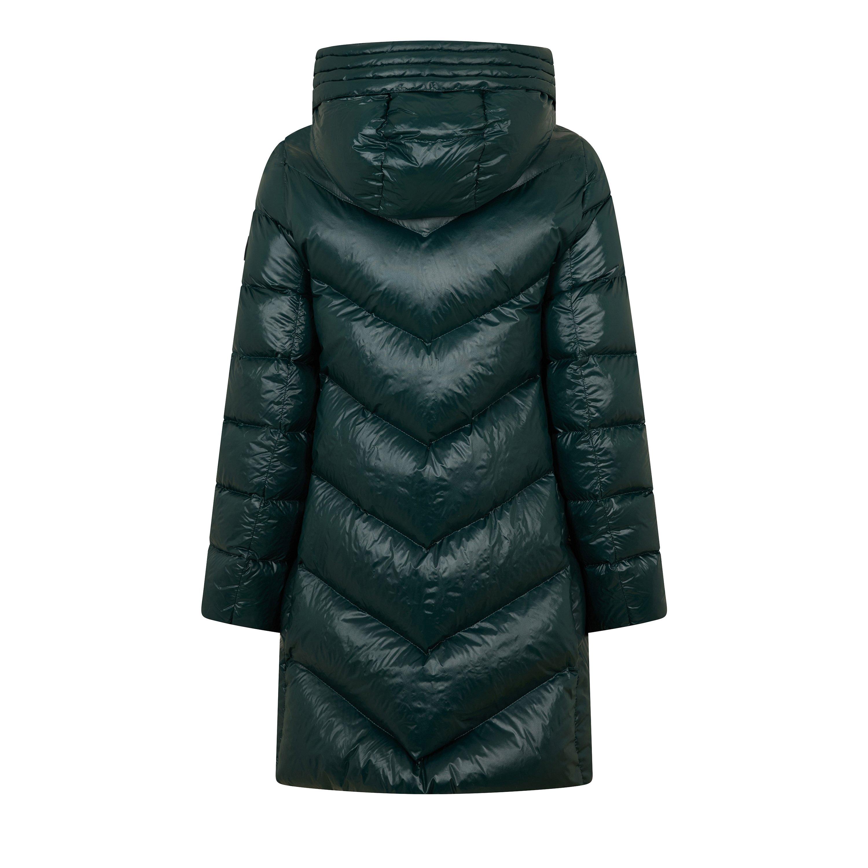 Dark Green - Boss - Boss Petrana1 Ld99 - 2