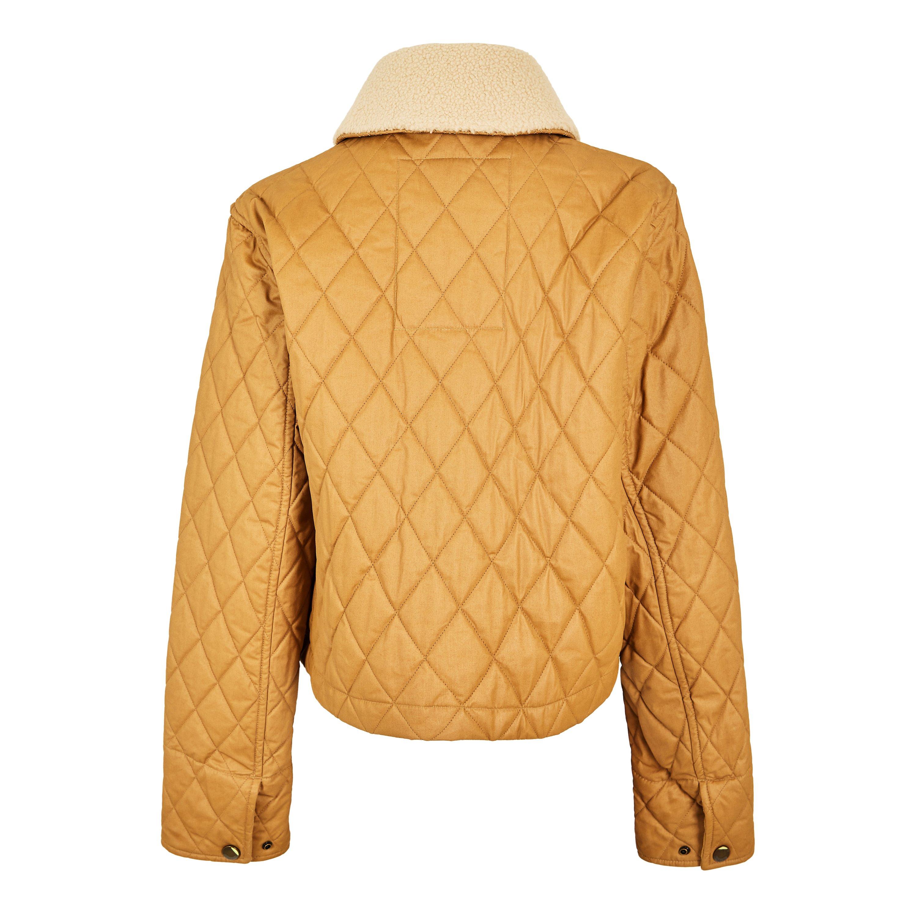 Sepia/Hay - Burberry - Burb Howle Quilted Ld62 - 2