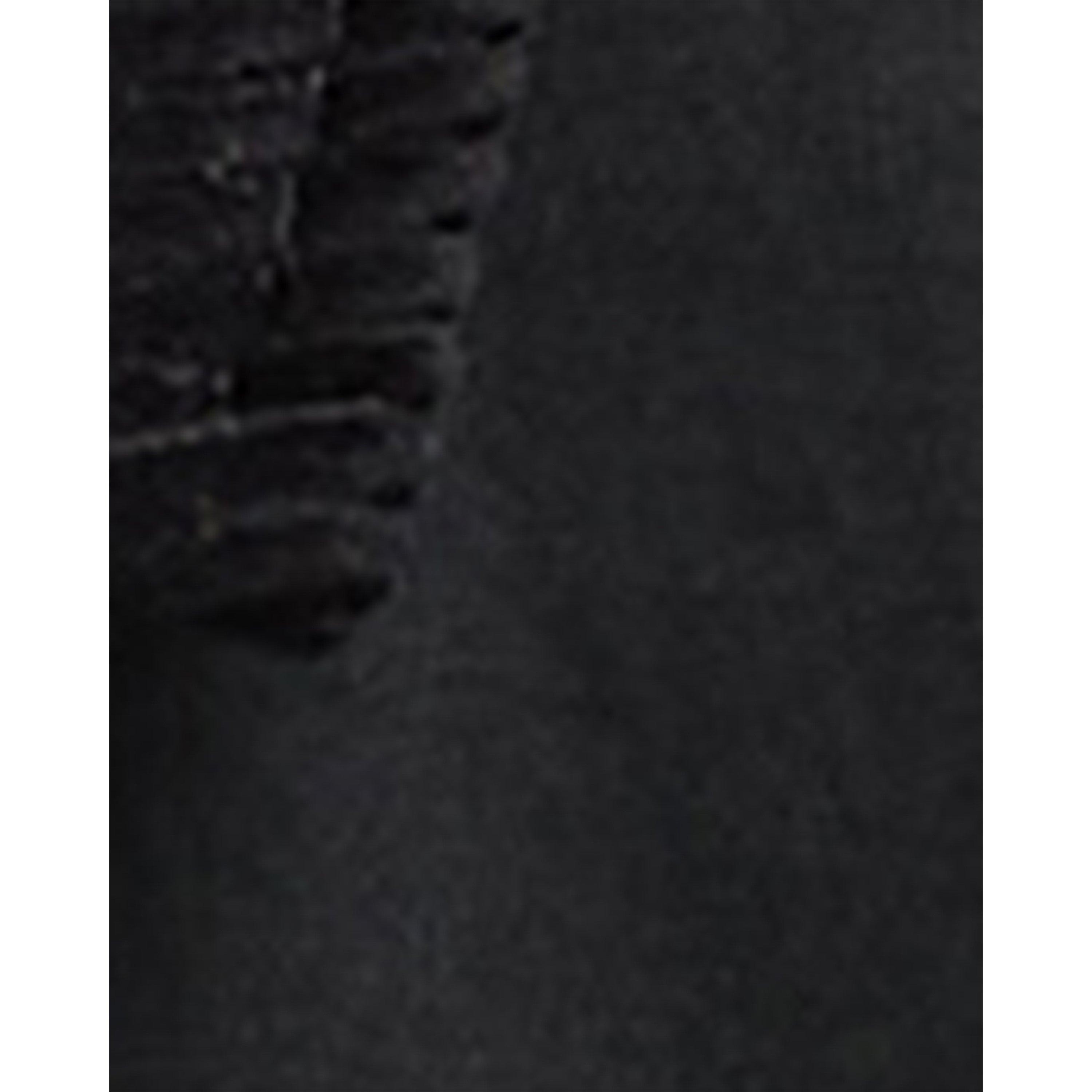 Black/Cardinal - Barbour - B.Li Dawn Rvs Jkt Ld64 - 11