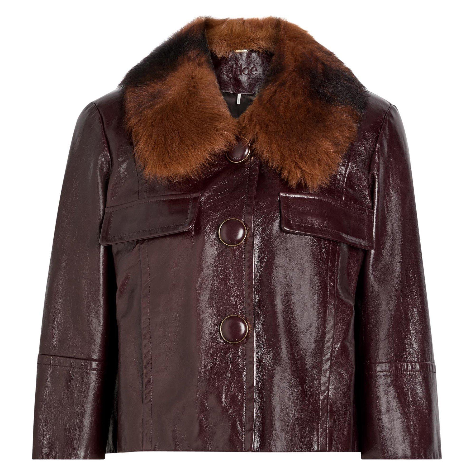 DARK PURPLE - Chloe - JACKET