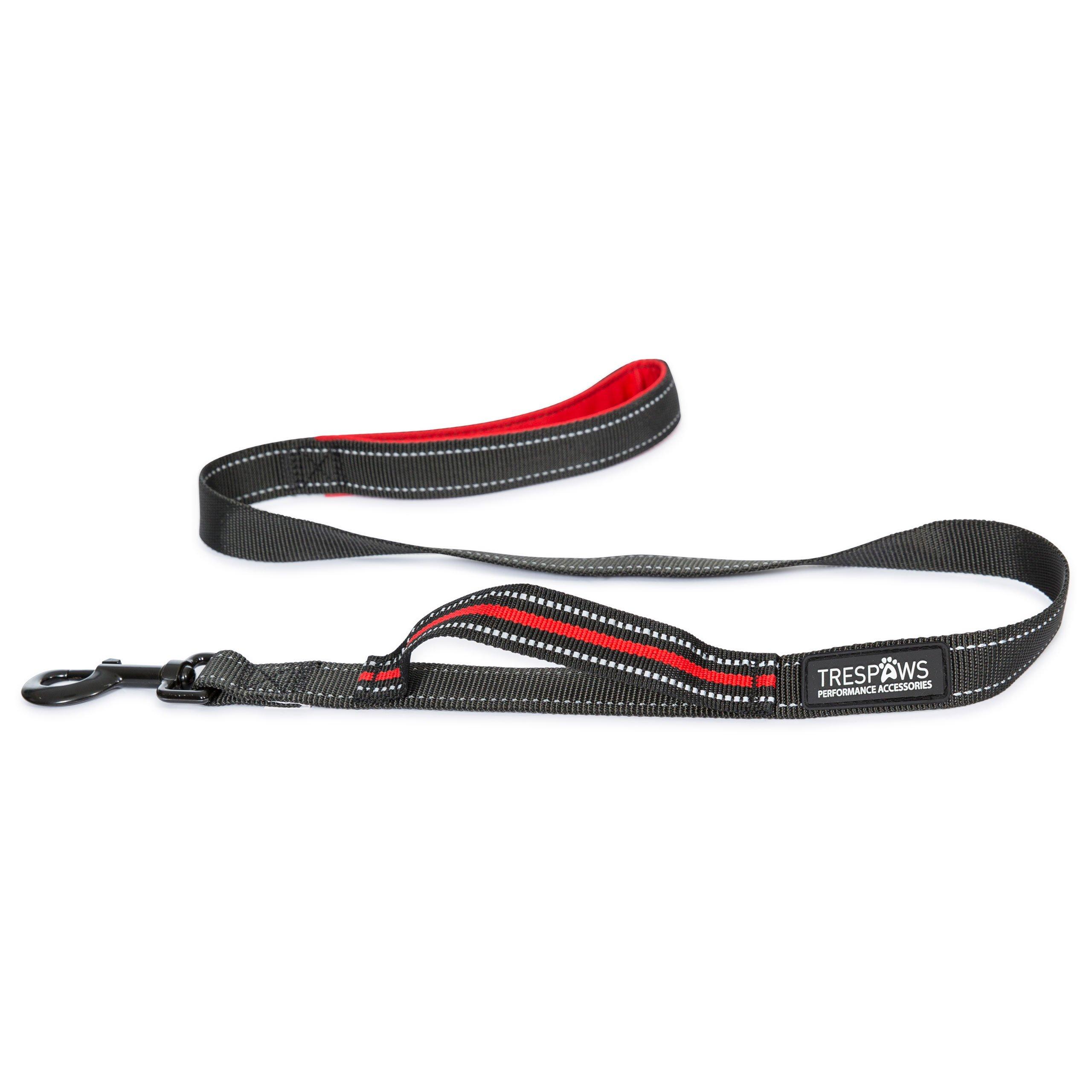 Postbox Red - Trespaws - Dog Lead 99 - 2