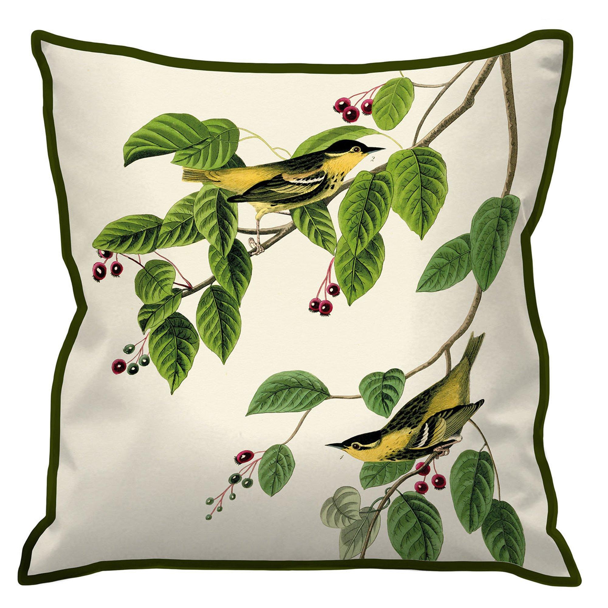 Carb Warbler - The Art Group - The Art John James Cus 00 - 1