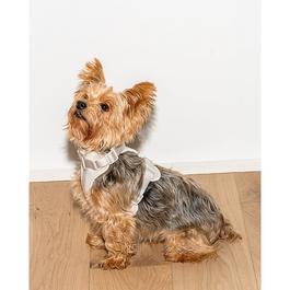 Wild One 2.0 Dog Harness