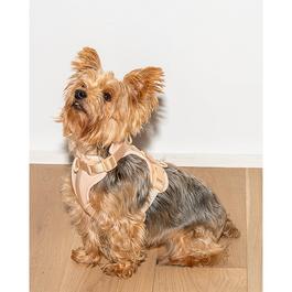 Wild One Adult Dog Harness