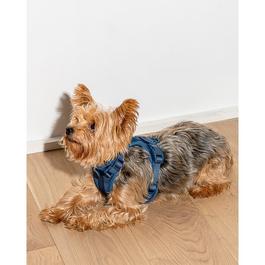 Wild One WO 2.0 Dog Harness