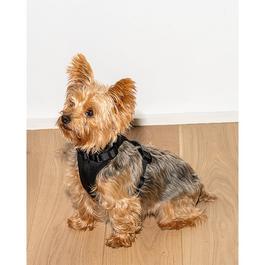 Wild One 2.0 Dog Harness