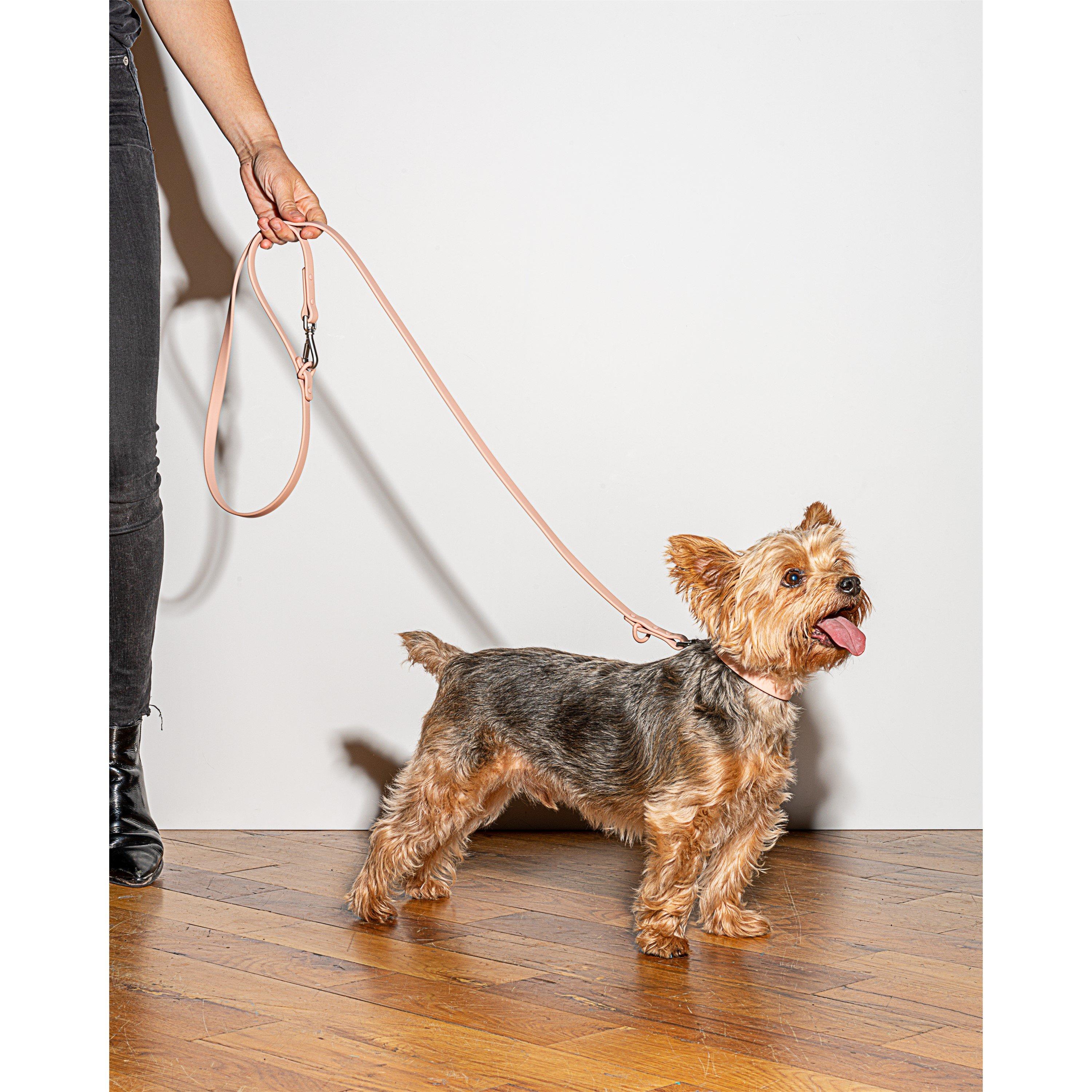 Blozen - Wild One - Dog Lead