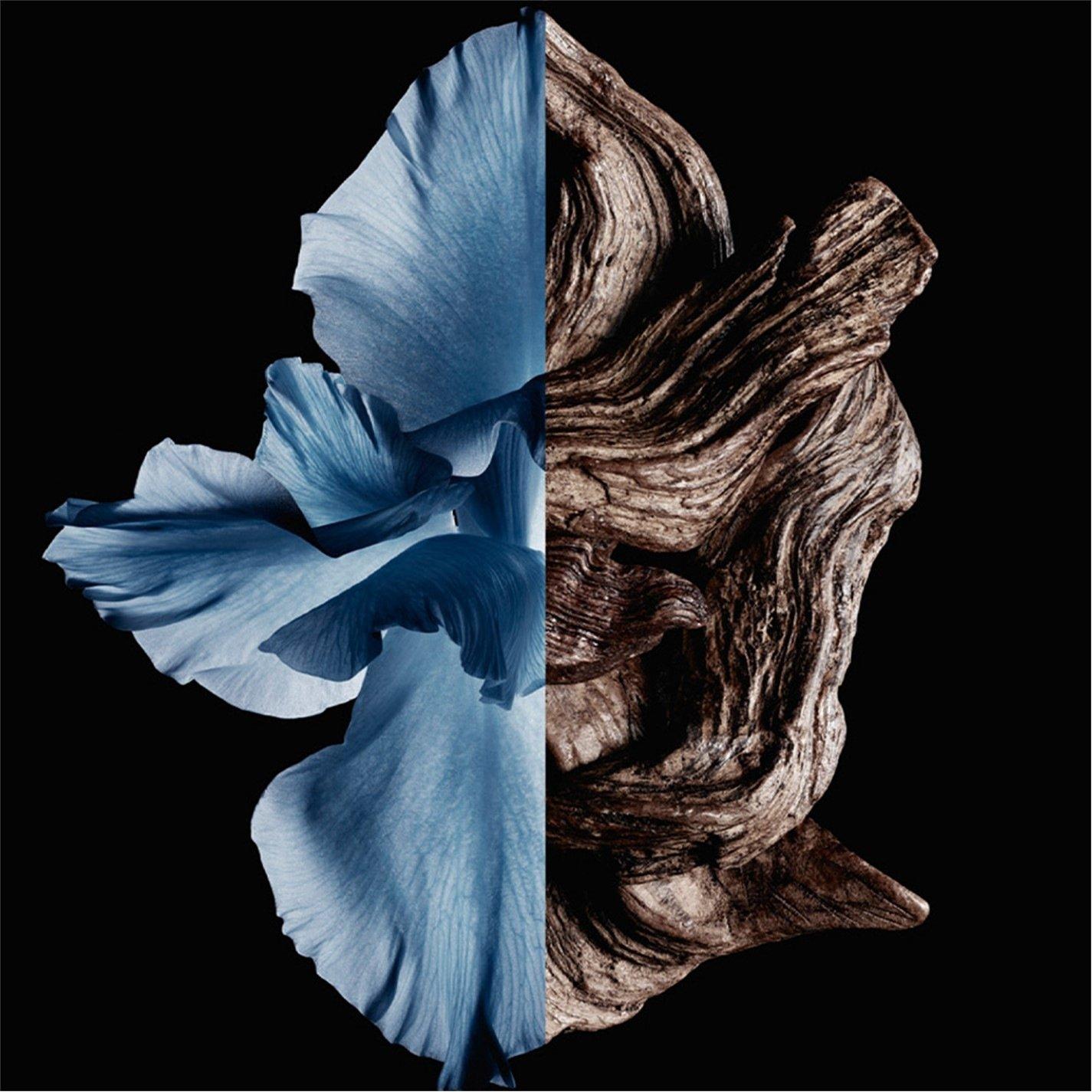 Clear - GIVENCHY - Gentleman Givenchy Eau de Toilette Intense - 2