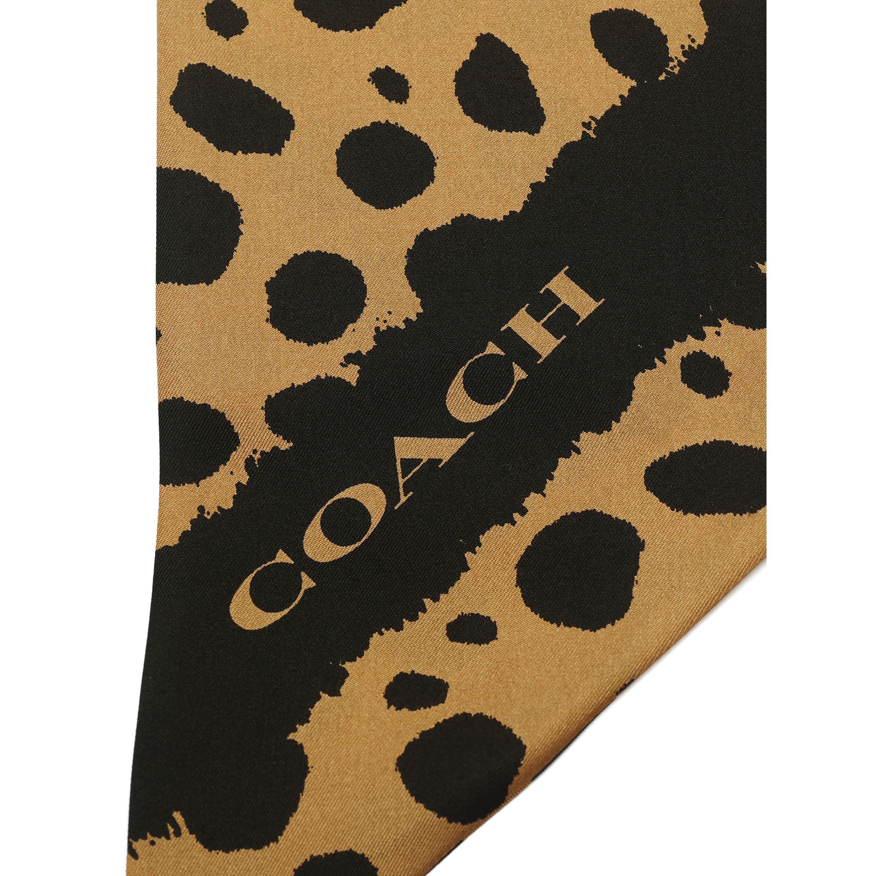 tan - Coach - Coach Wide Skinny Ld71 - 4