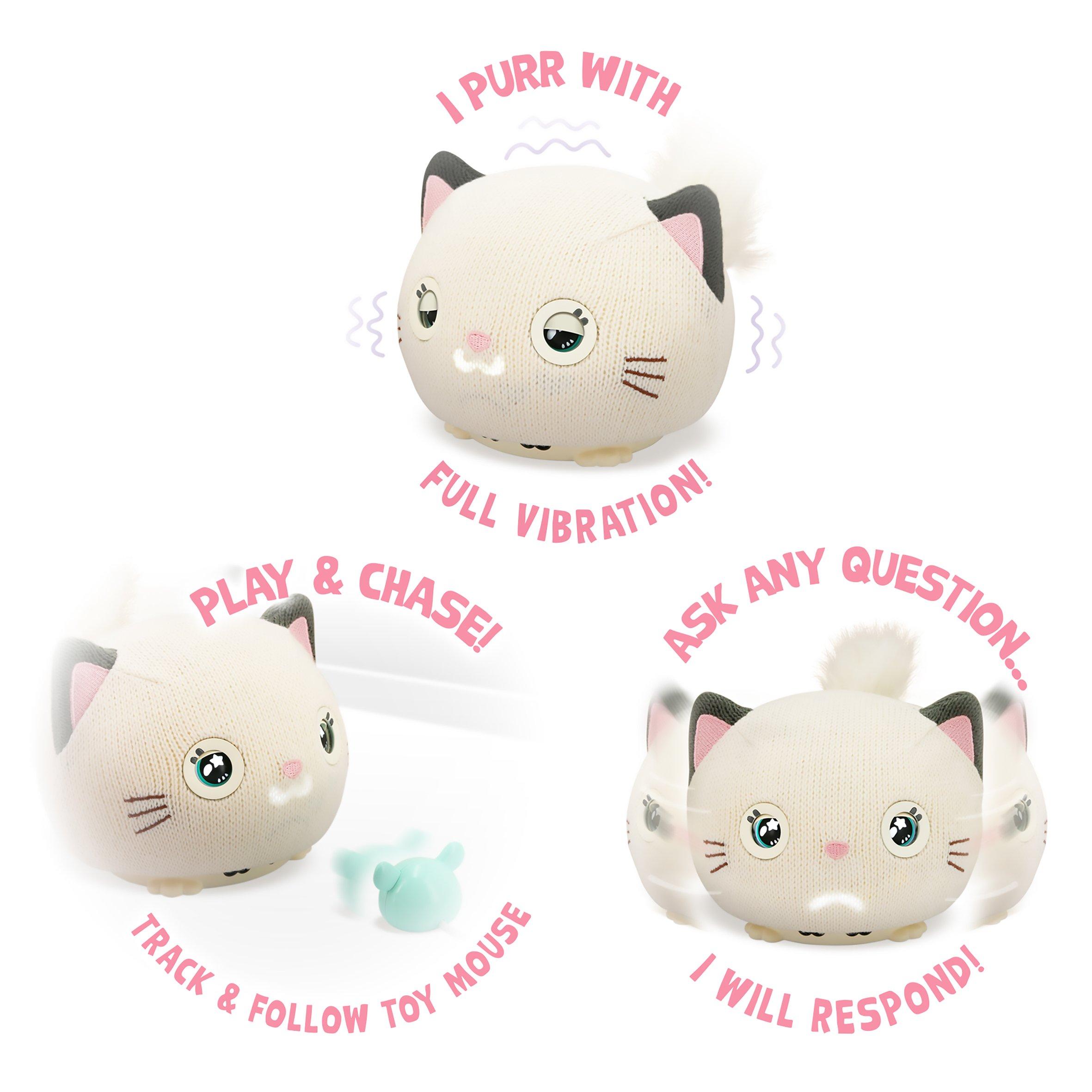 0TP-51864 - Teksta - Purro - 5