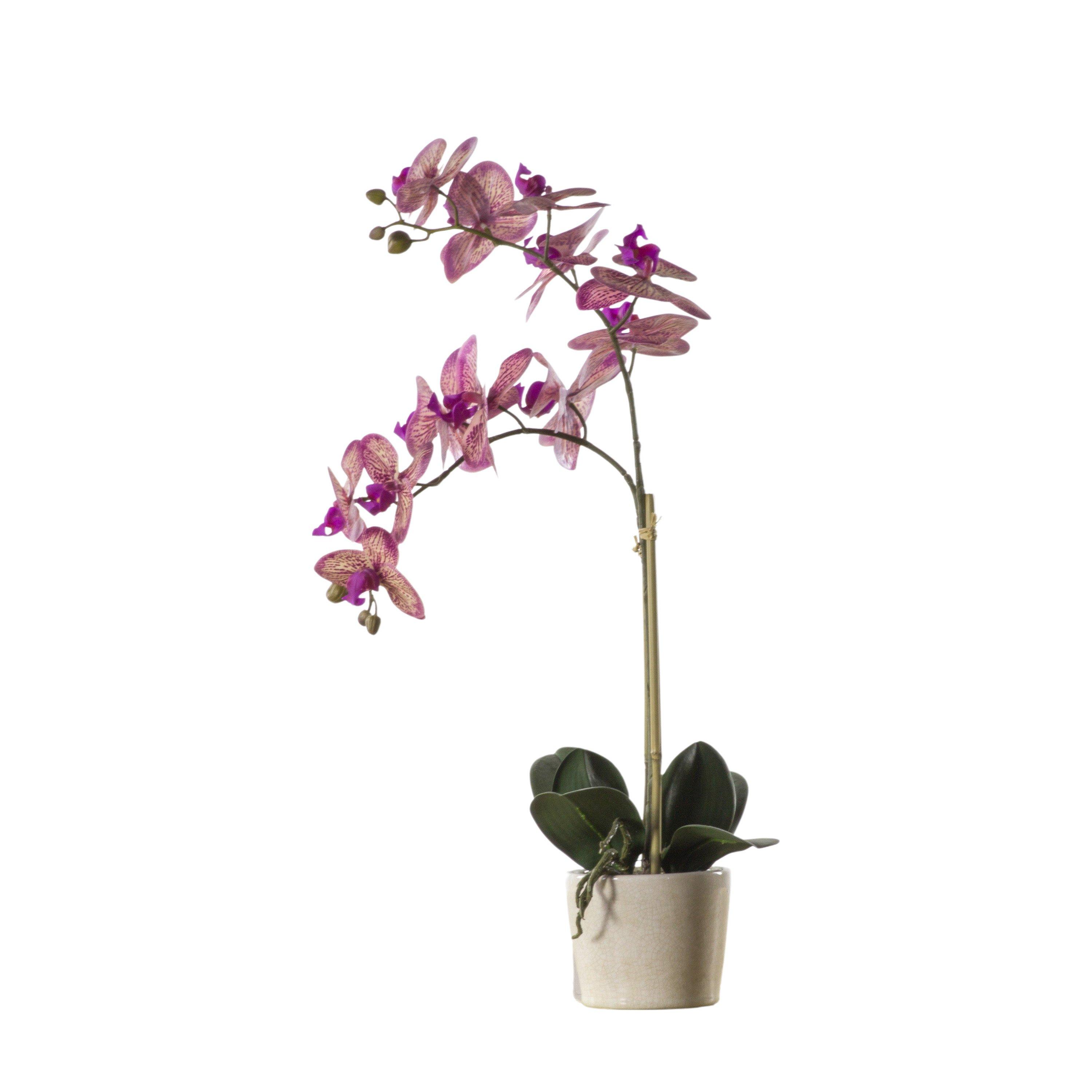 Gallery  Ceramic Pot 99 - Pink