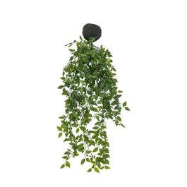 Gallery Trailing Vine 99