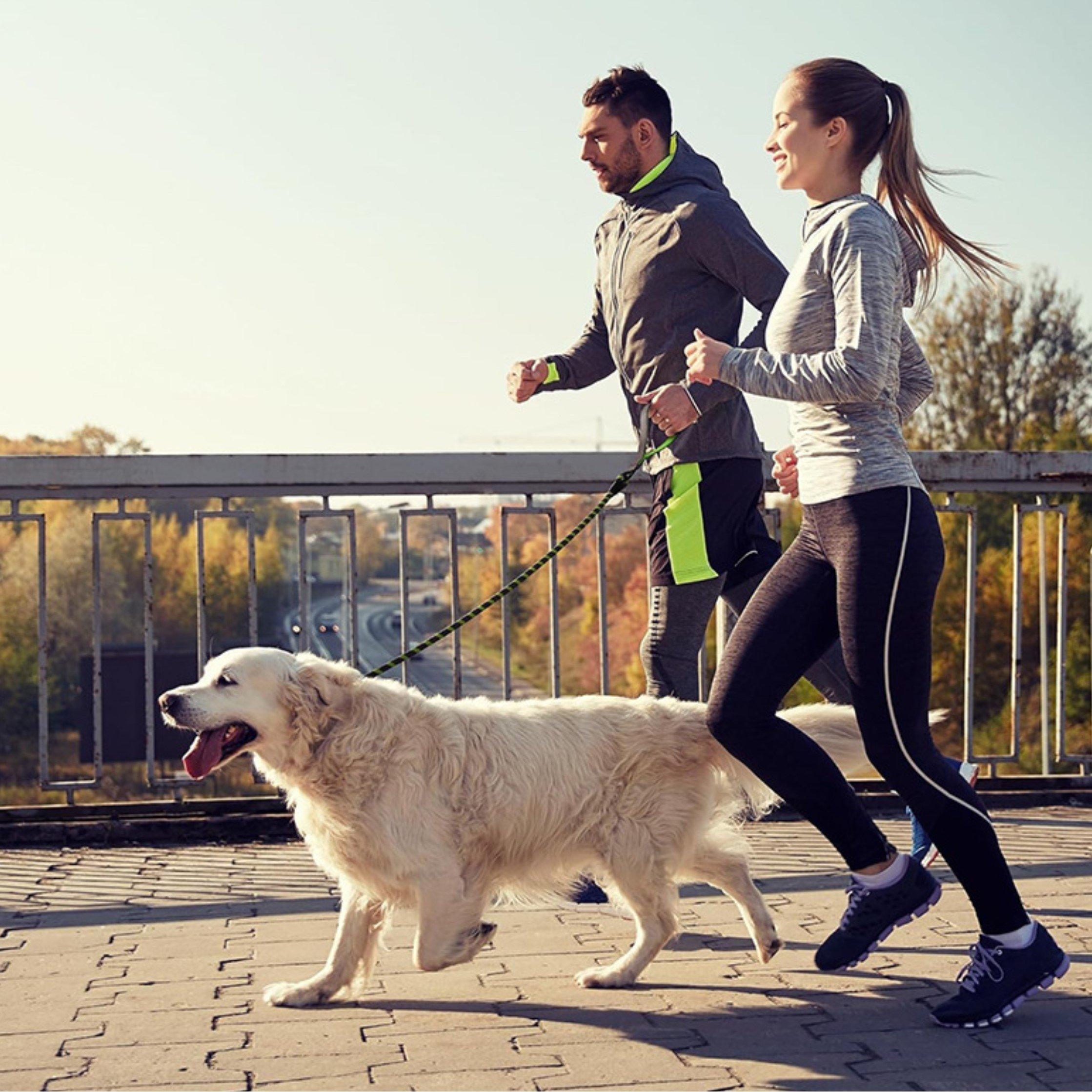 Black/Green - Waggy Tails - Reflective Leash Adults - 1