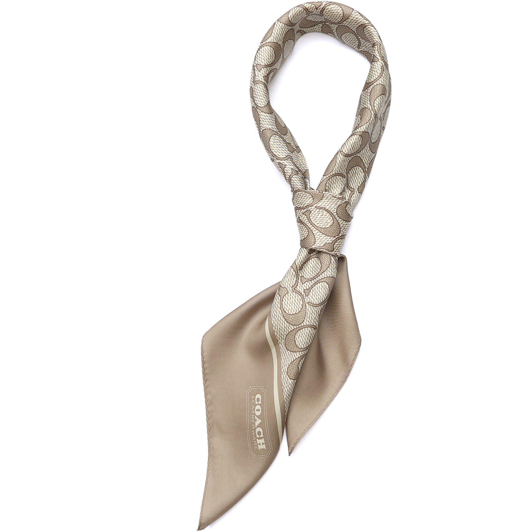 Grey Birch - Coach - Coach Silk SQ Ld62 - 2