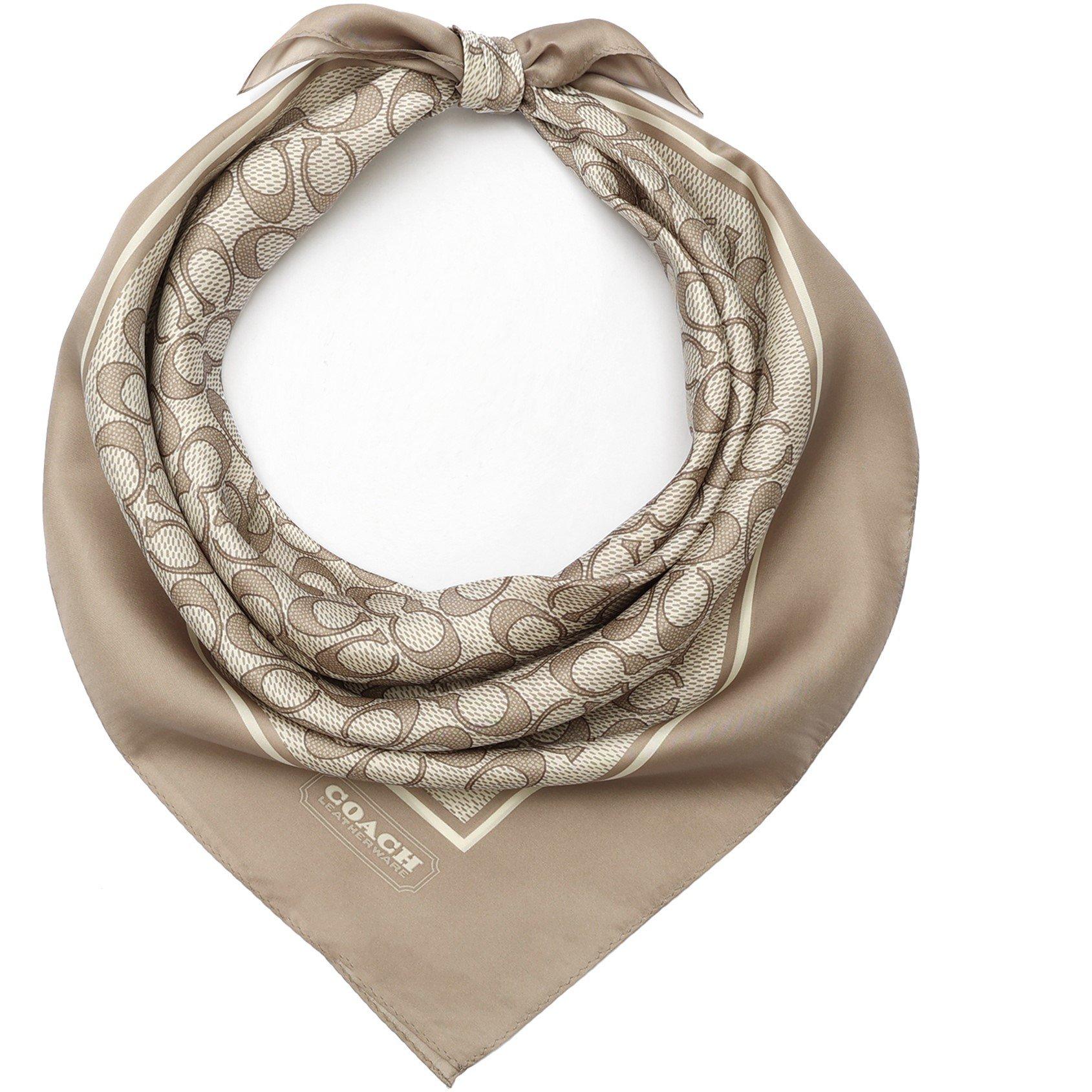 Grey Birch - Coach - Coach Silk SQ Ld62 - 3