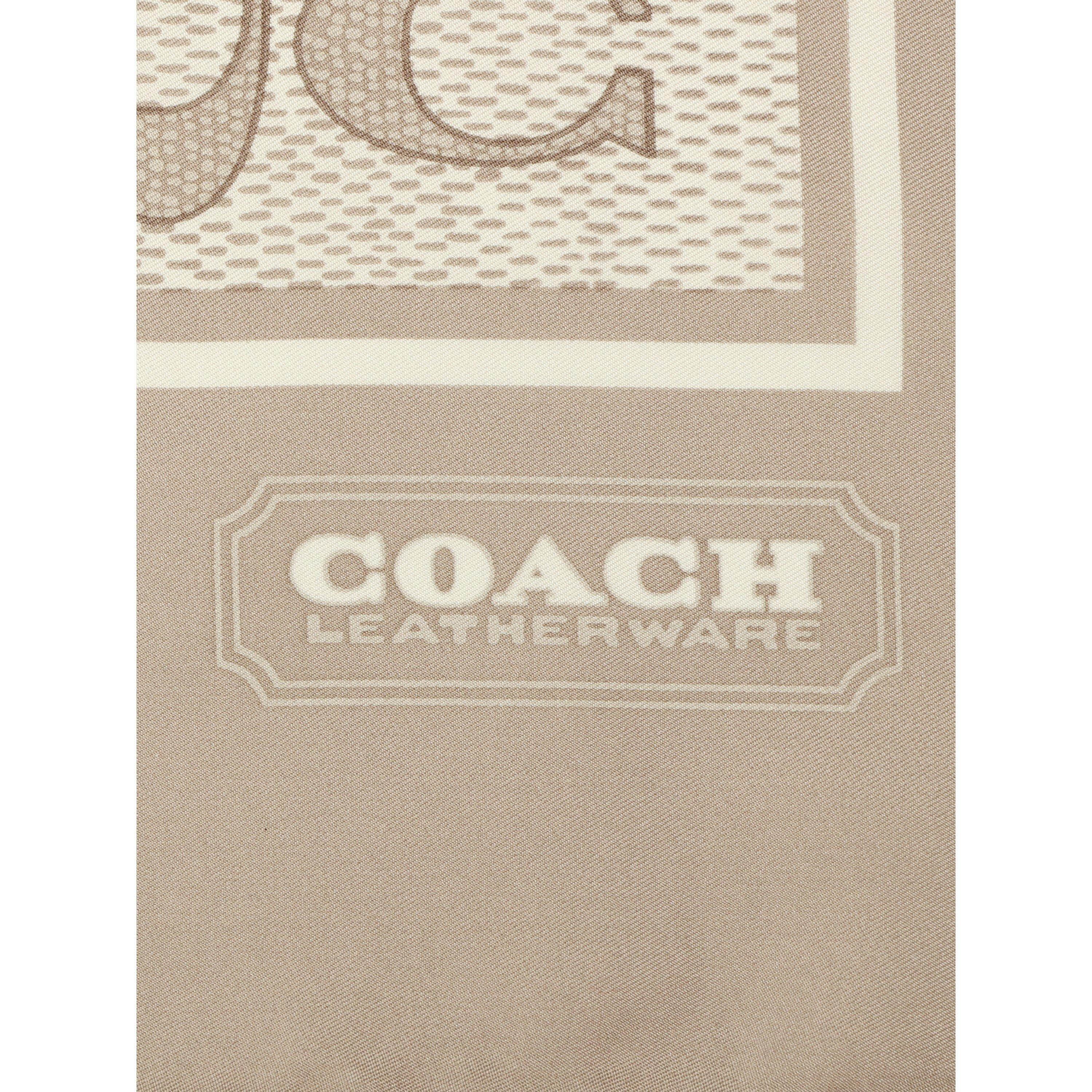 Grey Birch - Coach - Coach Silk SQ Ld62 - 4