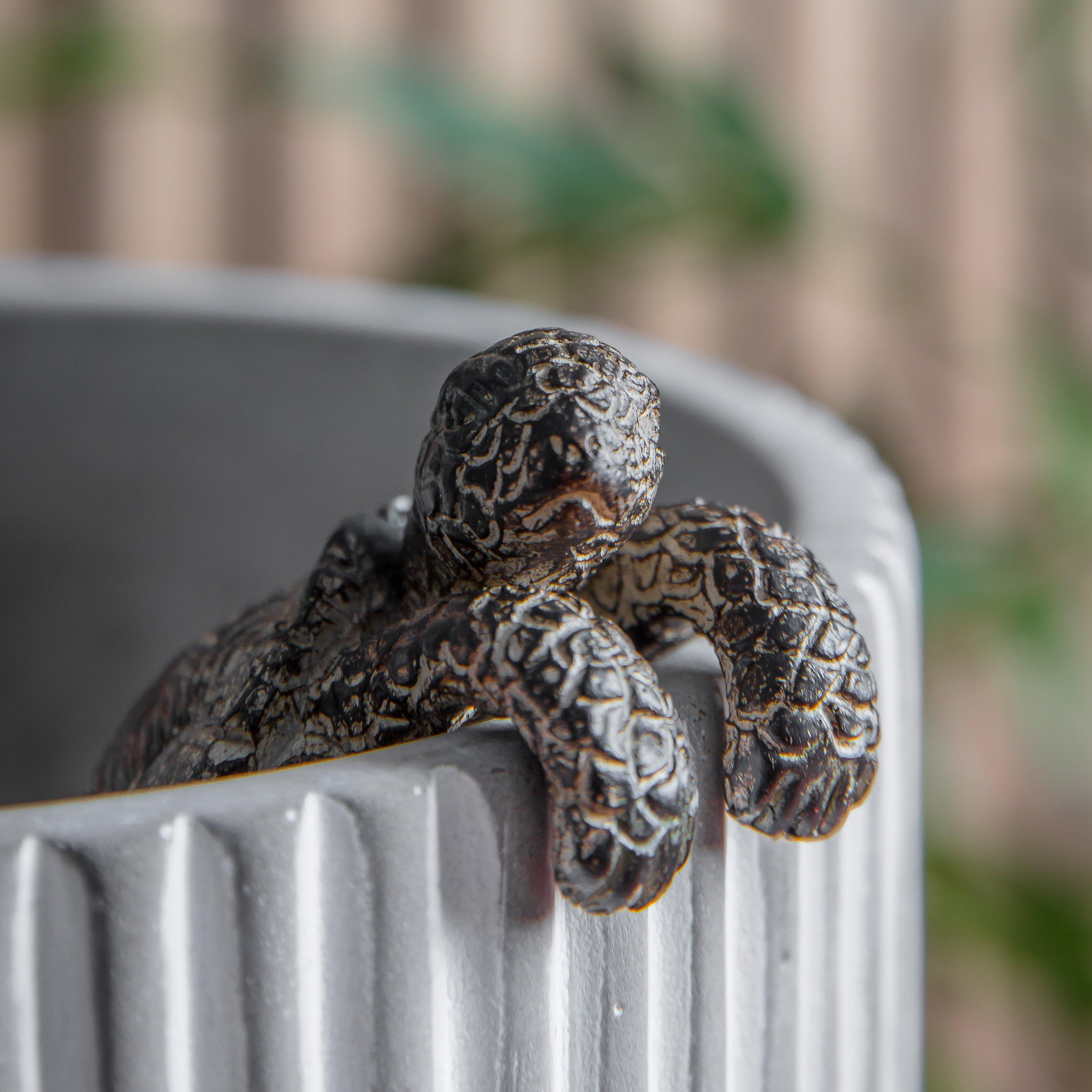 Natural - Gallery - Winston Tortoise Pot Hanger Natural (2pk) - 2