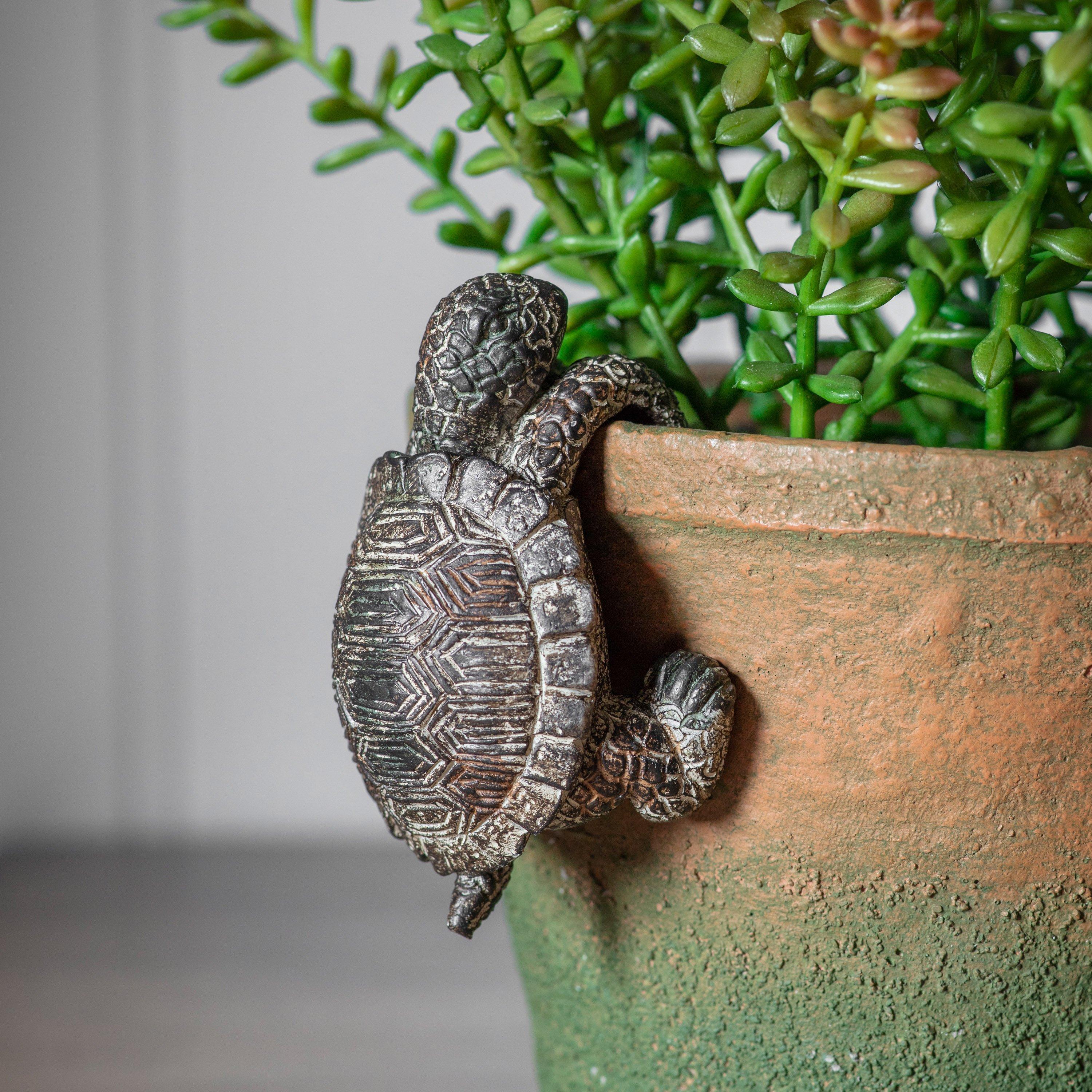 Natural - Gallery - Winston Tortoise Pot Hanger Natural (2pk) - 4
