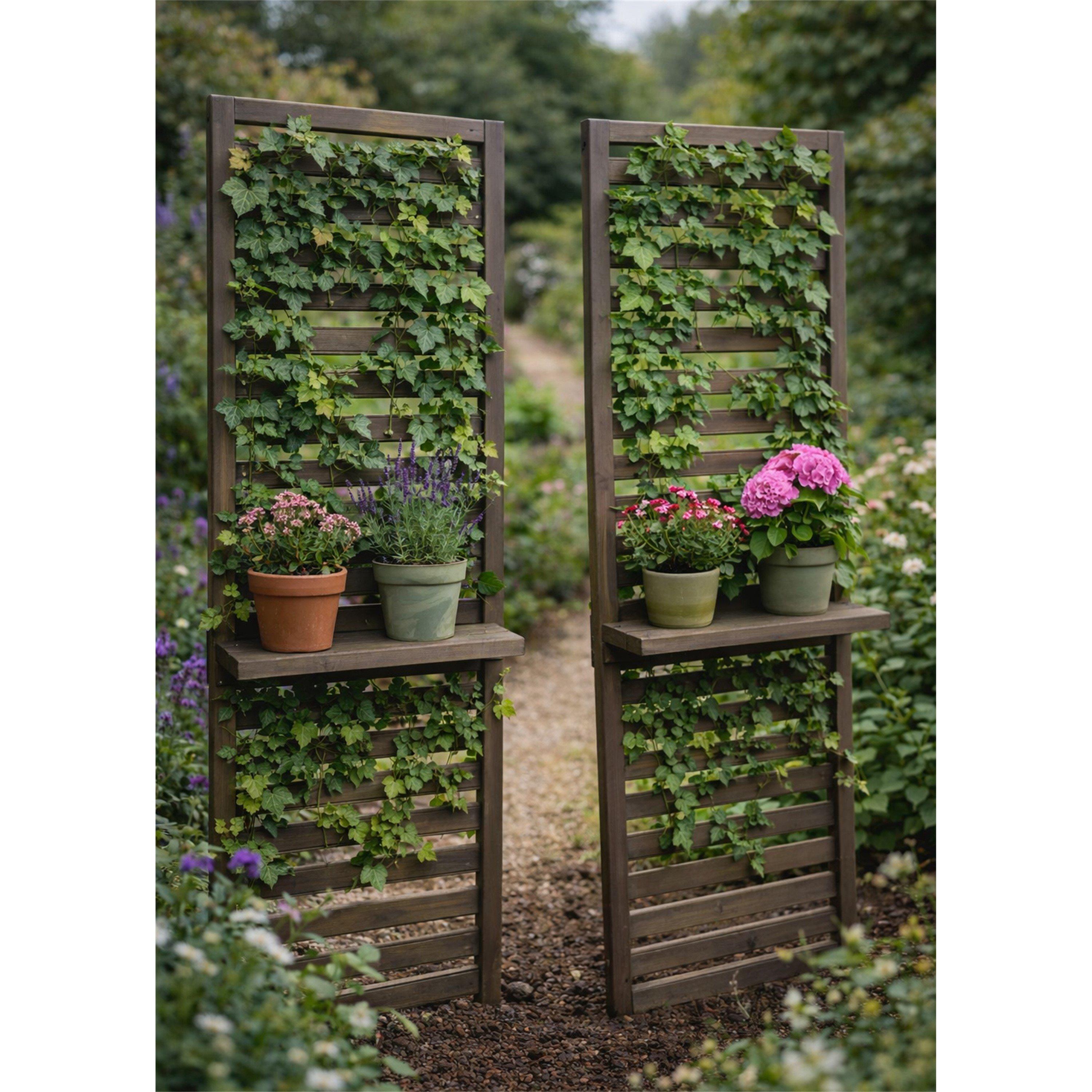 Pine - Linea - Wall Plant Shlelf 63 - 1