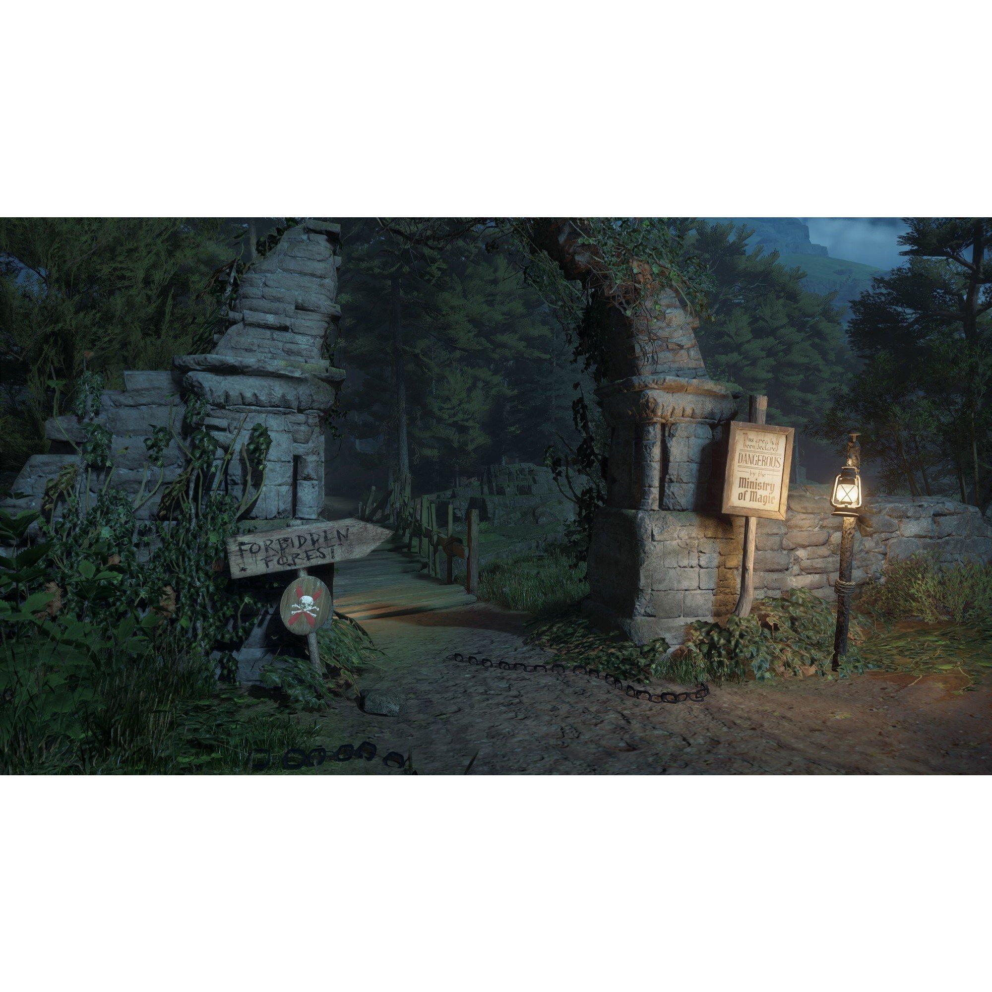 NS2 - Warner Brothers - Hogwarts Legacy - 7