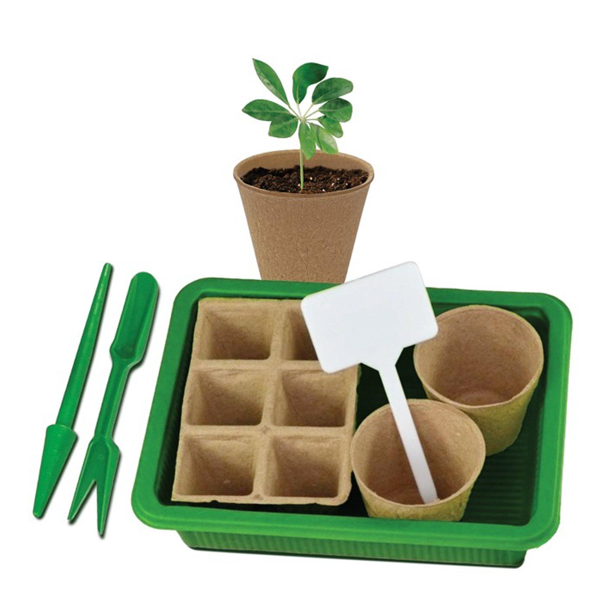 Green - Dekton - 17 Piece Seed Starter Kit - 2