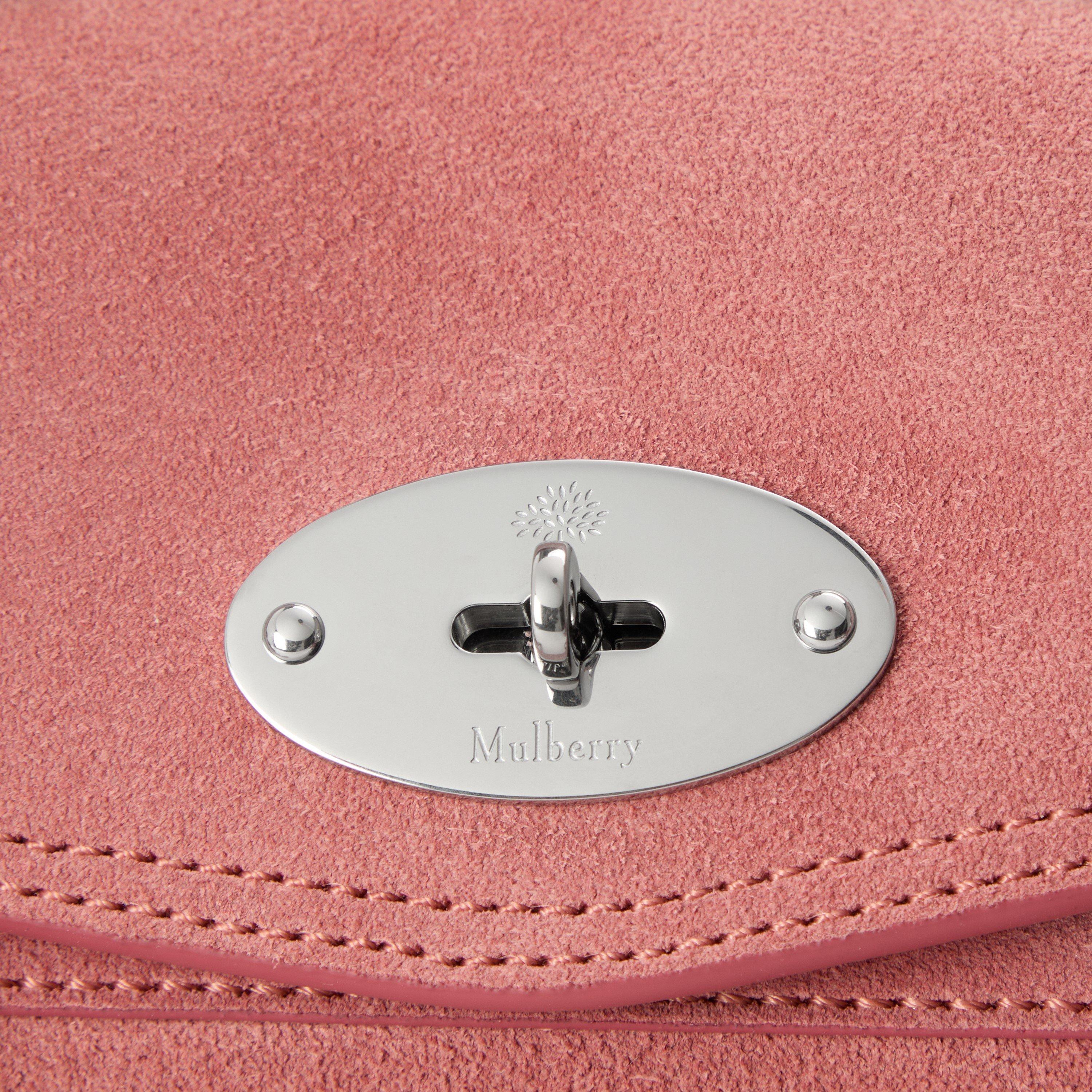 Pink Scrumpy - Mulberry - Mini Alexa - 3