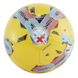 Puma Premier League Footballs