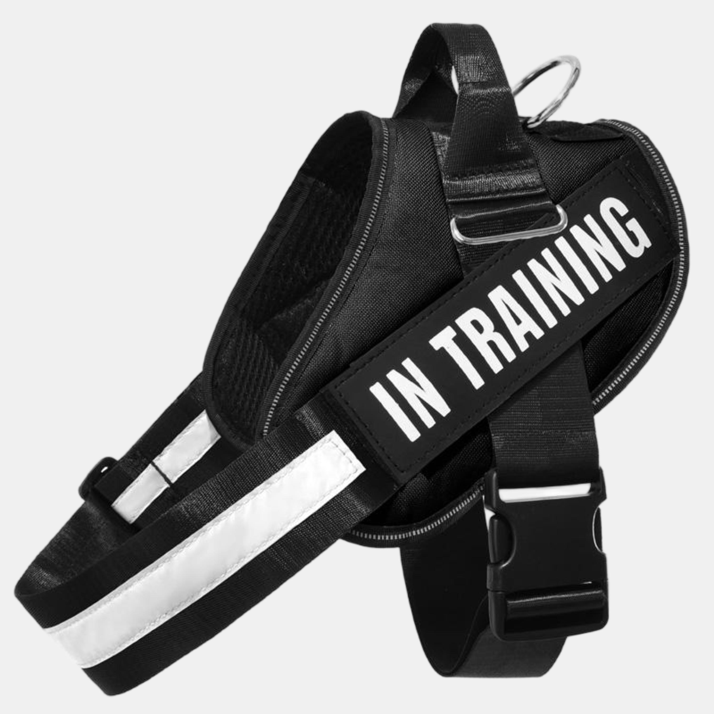 Black - Waggy Tails - Pet Harness