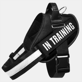 Waggy Tails Pet Harness