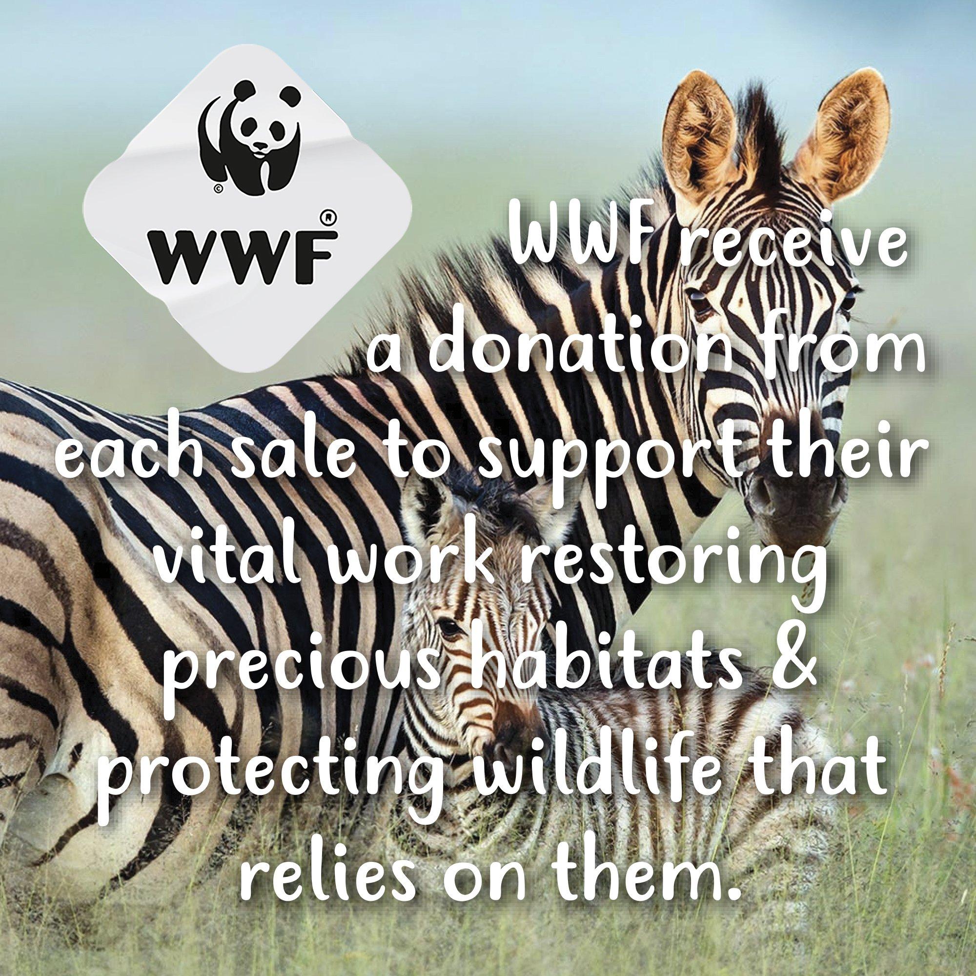 Orange - Tikkers - Kids' Tikker Zebra Quartz Watch - 6