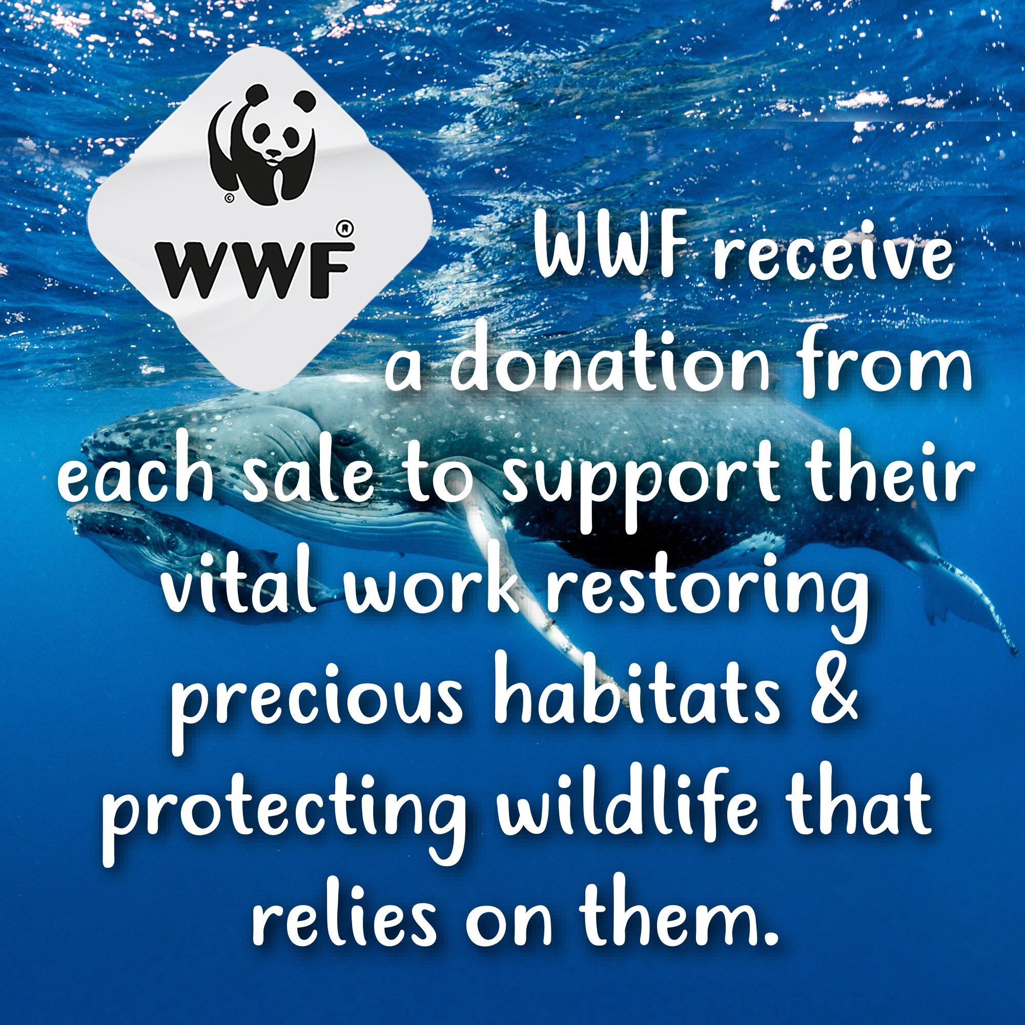 Plava - Tikkers - Kids' Whale Quartz Watch - 6