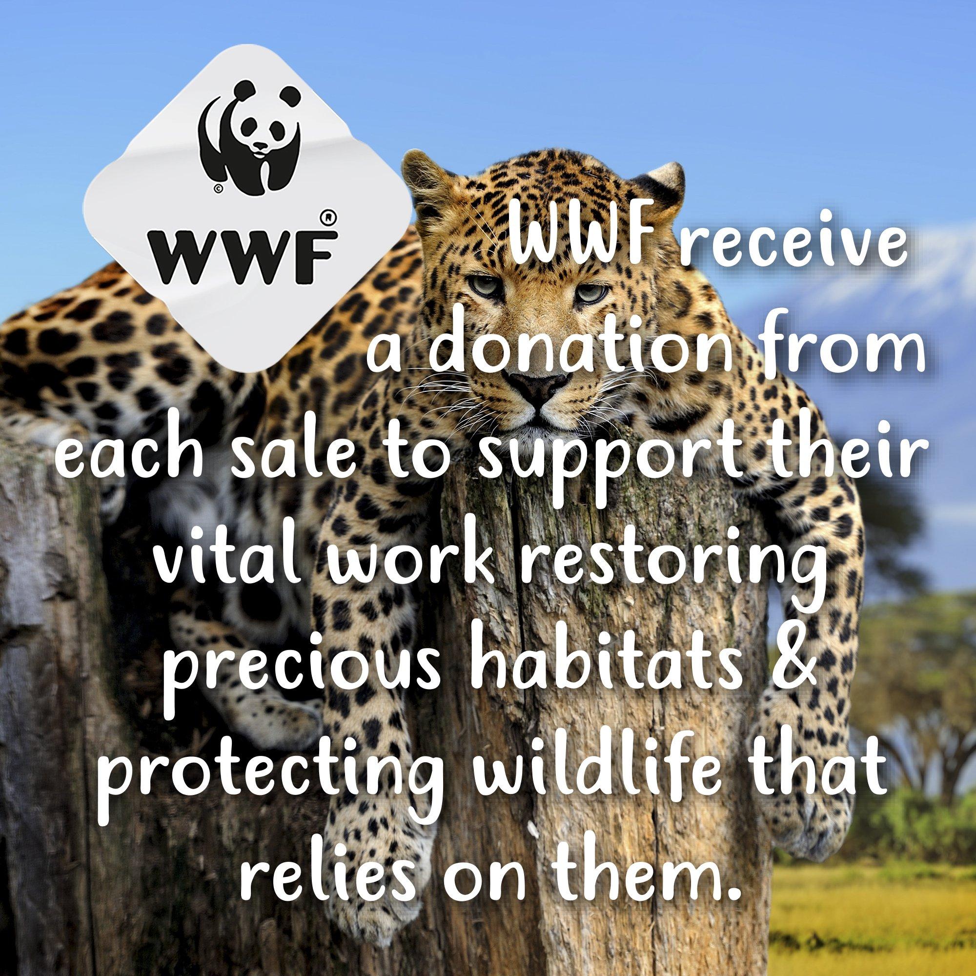 Jaune - Tikkers - Kids' Tikker x WWF Leopard Analogue Quartz Watch - 7