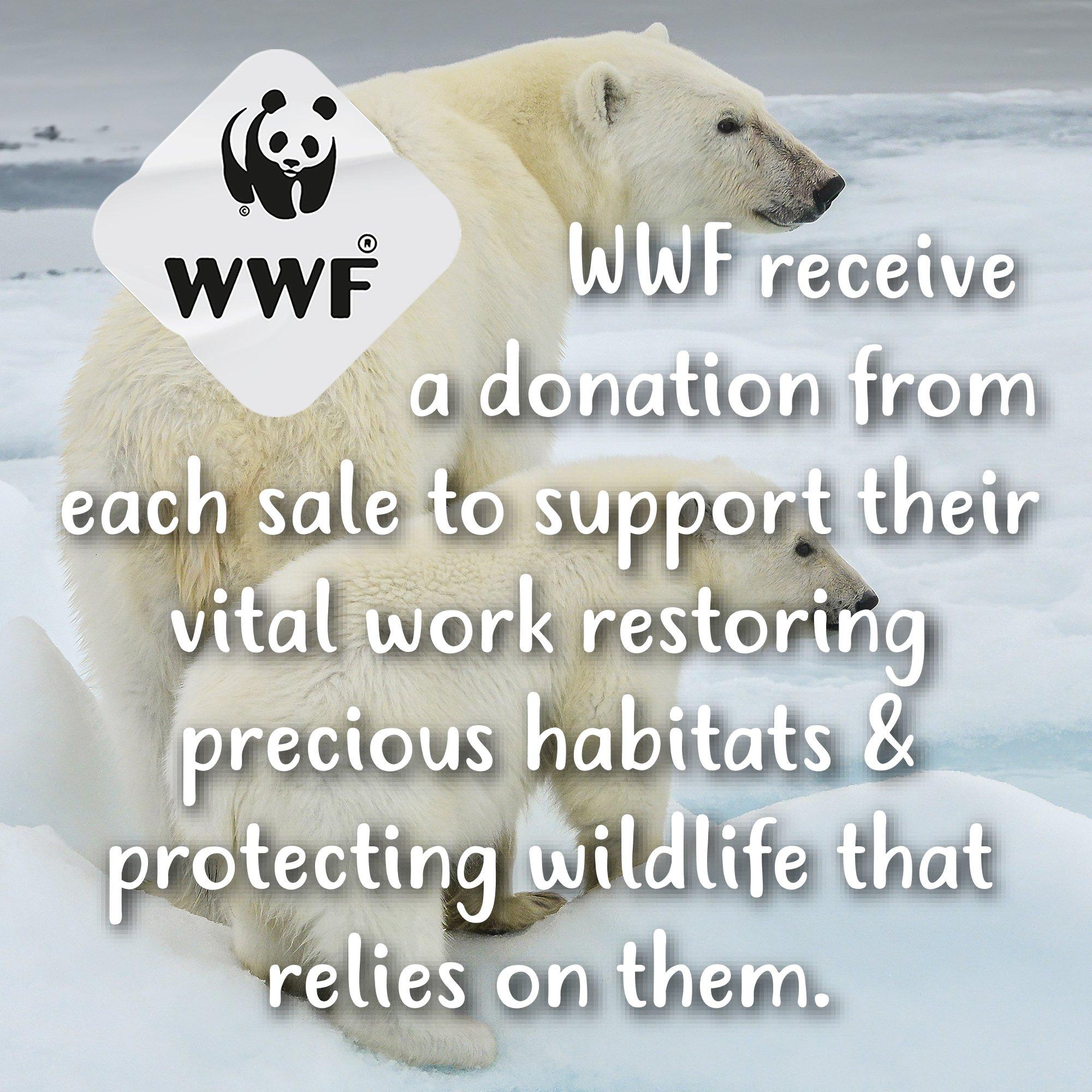 Blau - Tikkers - Kids' WWF Polar Bear Analogue Quartz Watch - 6