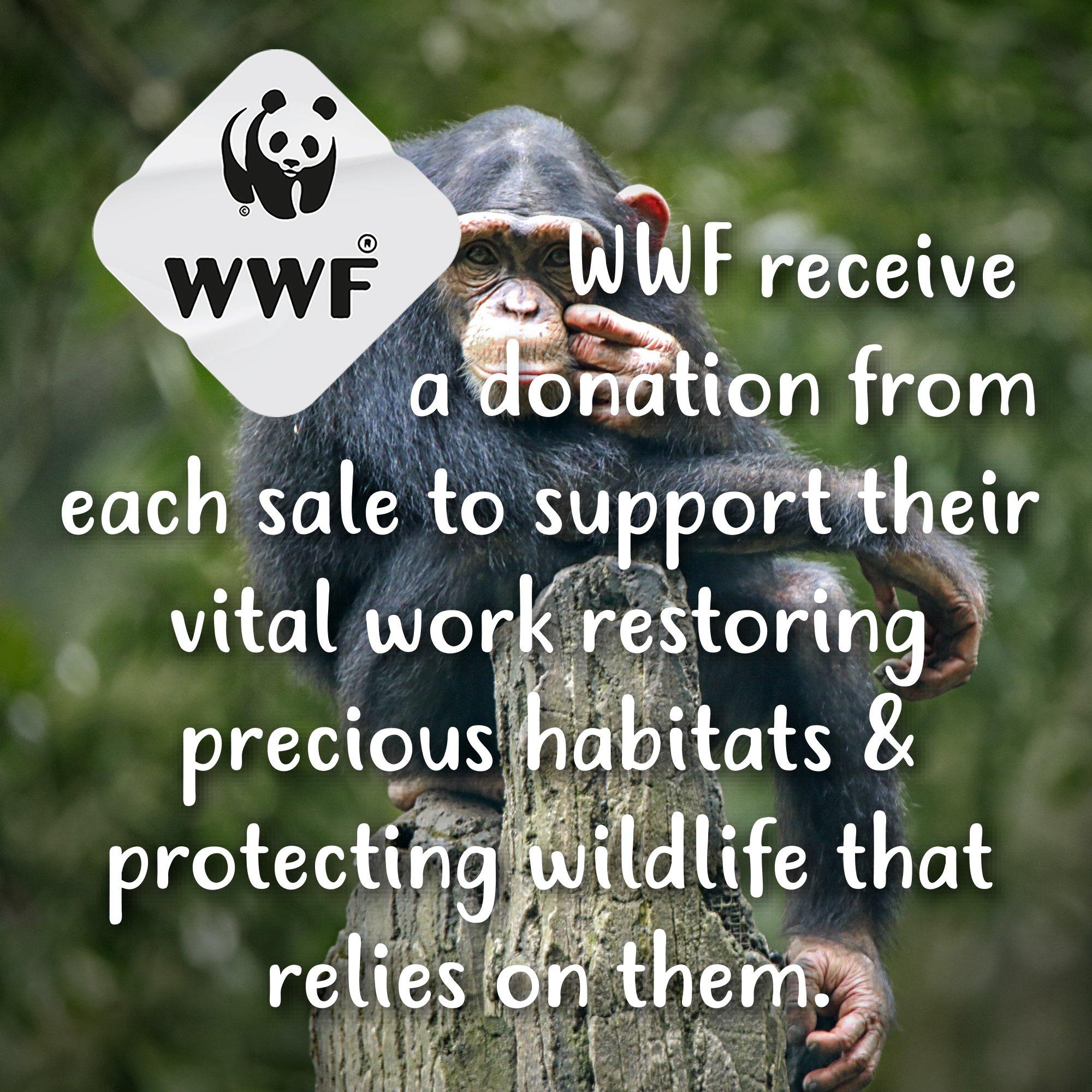 Green - Tikkers - Kids' Chimp Analogue Quartz Watch - 6