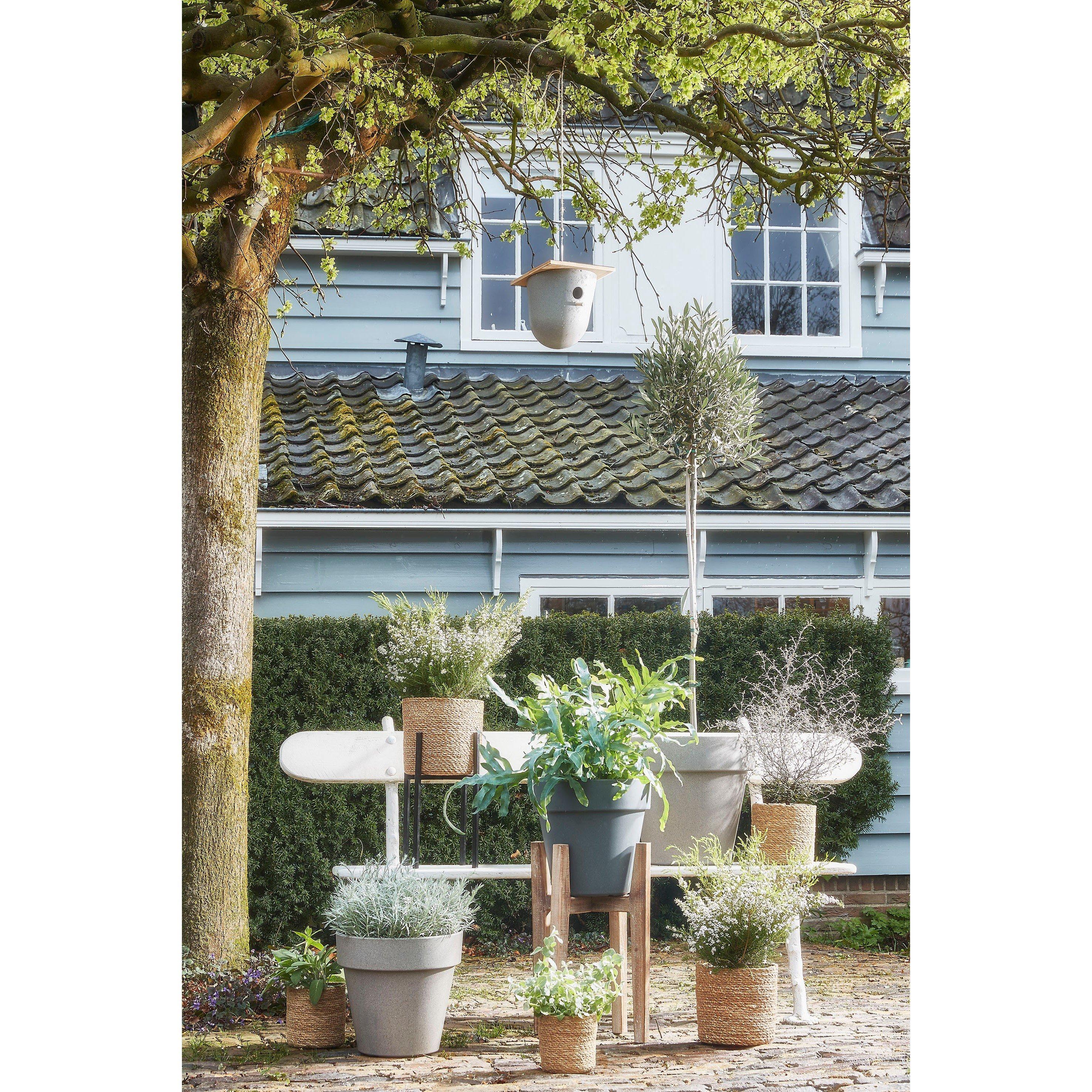 Cream - Mica - Atlantic Basket - 3