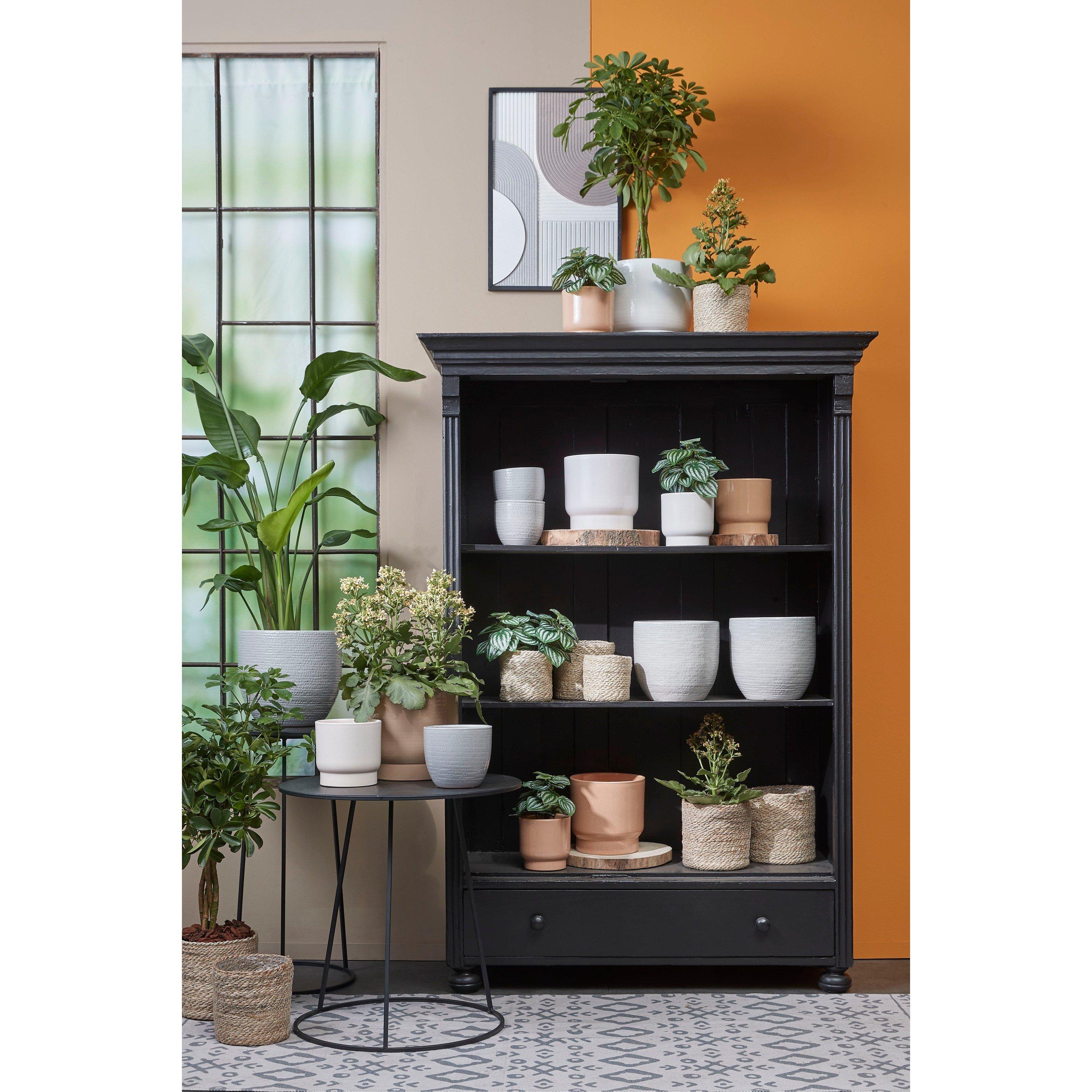 Cream - Mica - Atlantic Basket - 4