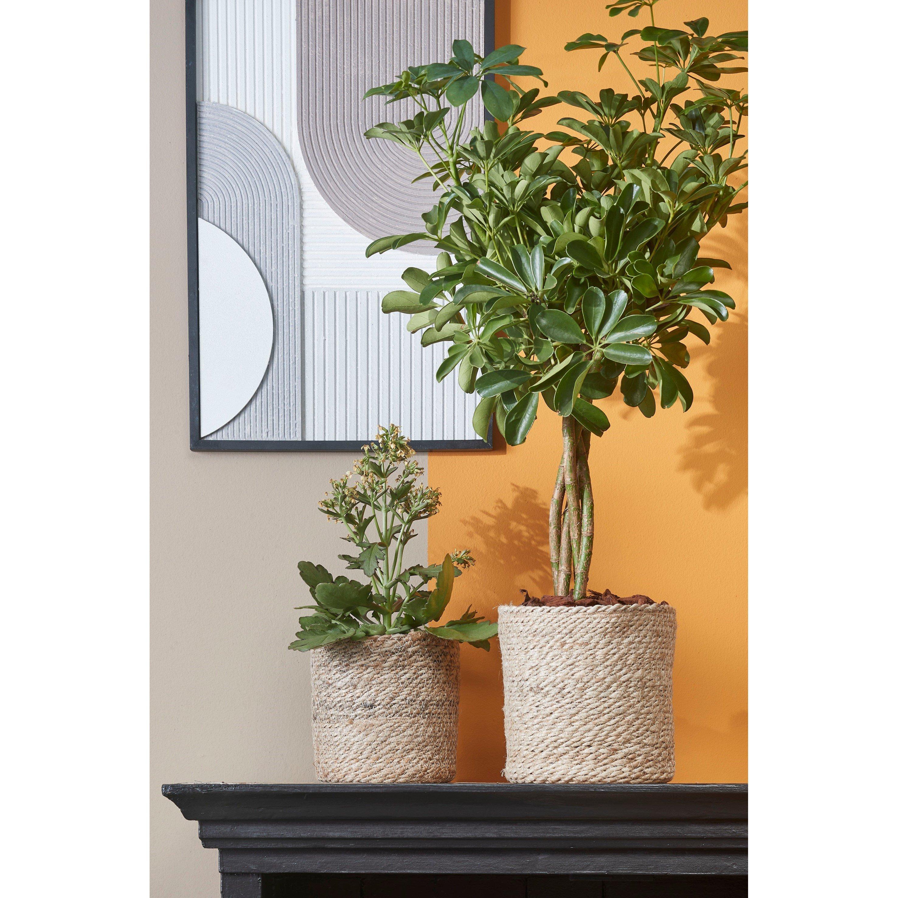 Cream - Mica - Atlantic Basket - 7