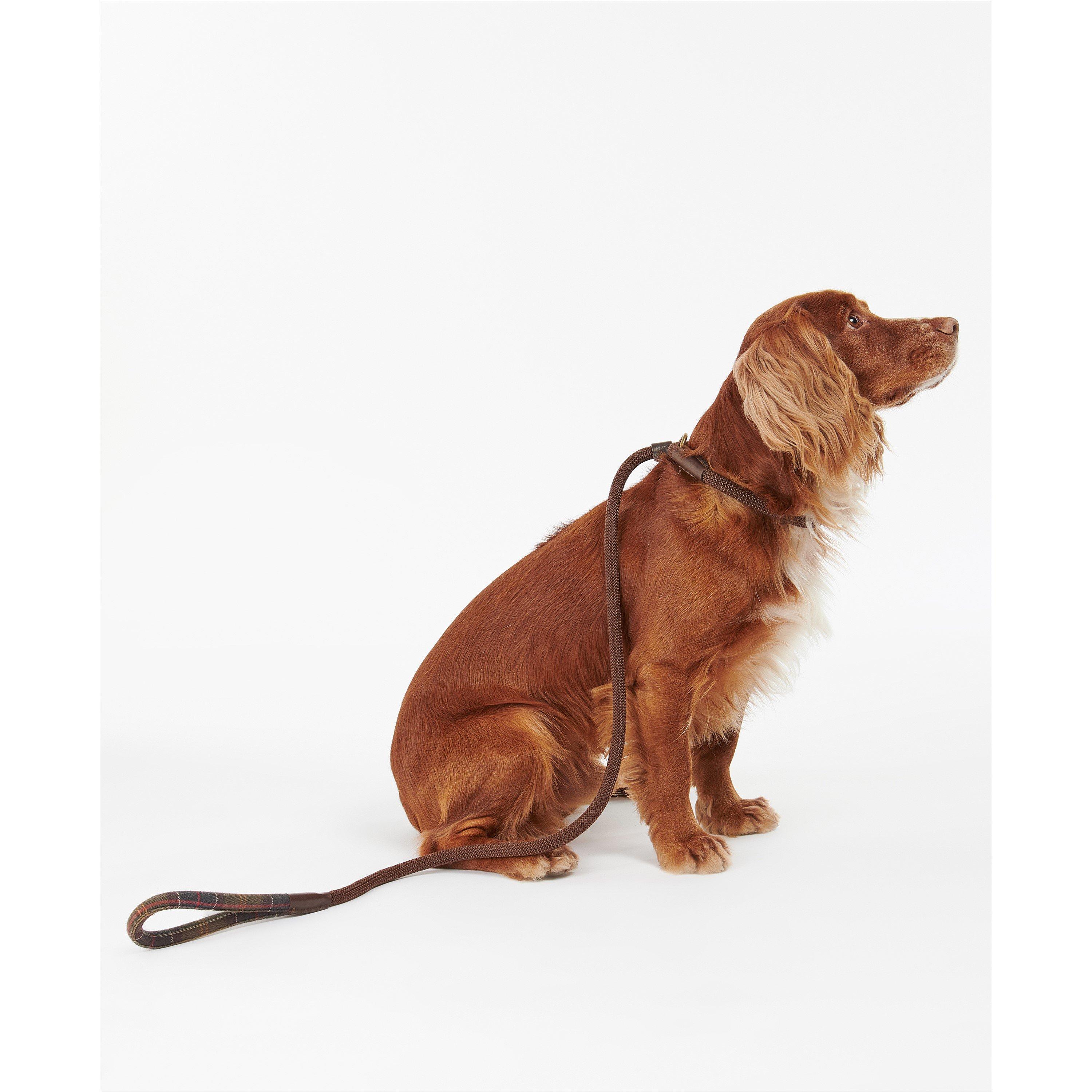 Classic Tartan - Barbour - Tartan Slip Dog Lead - 2