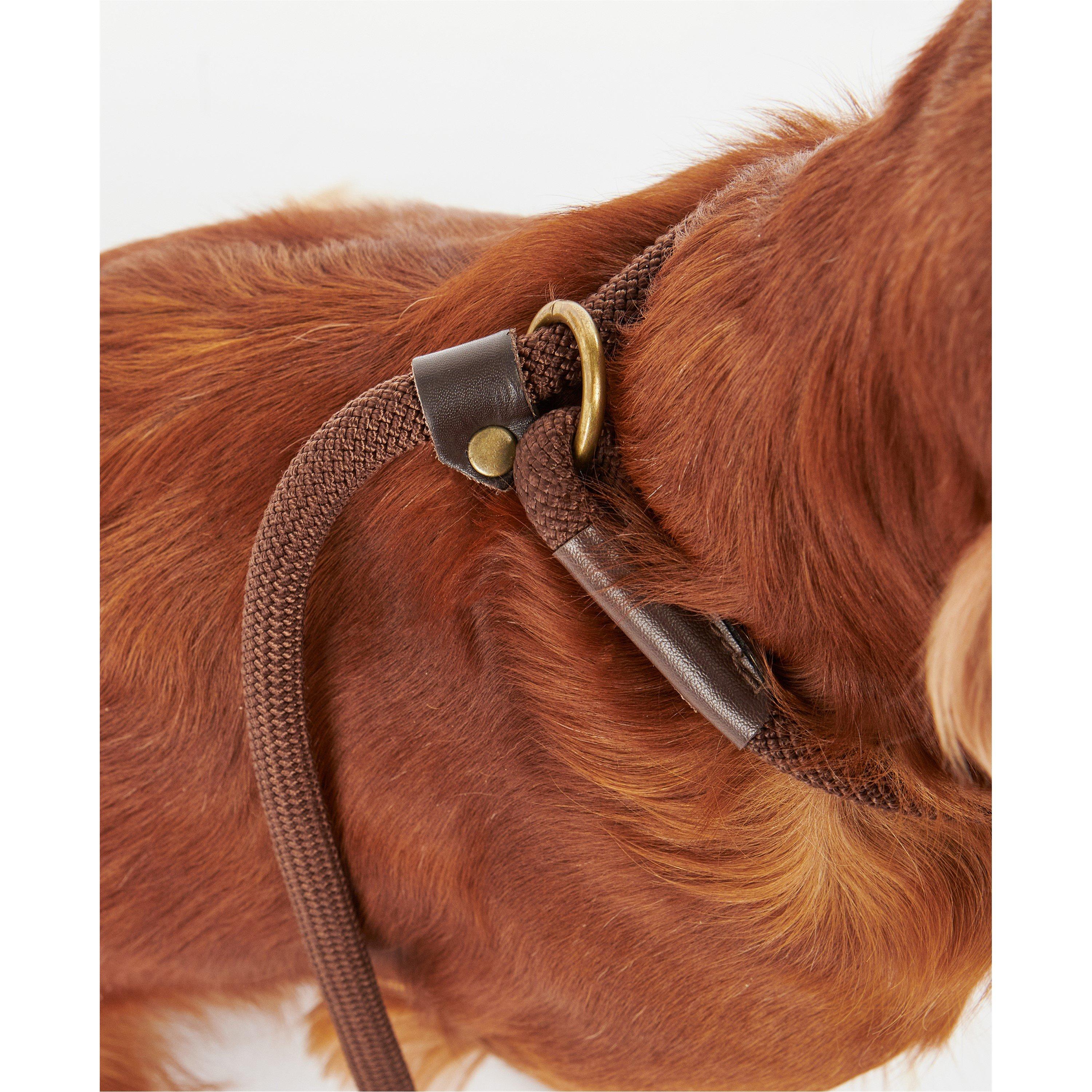 Classic Tartan - Barbour - Tartan Slip Dog Lead - 3