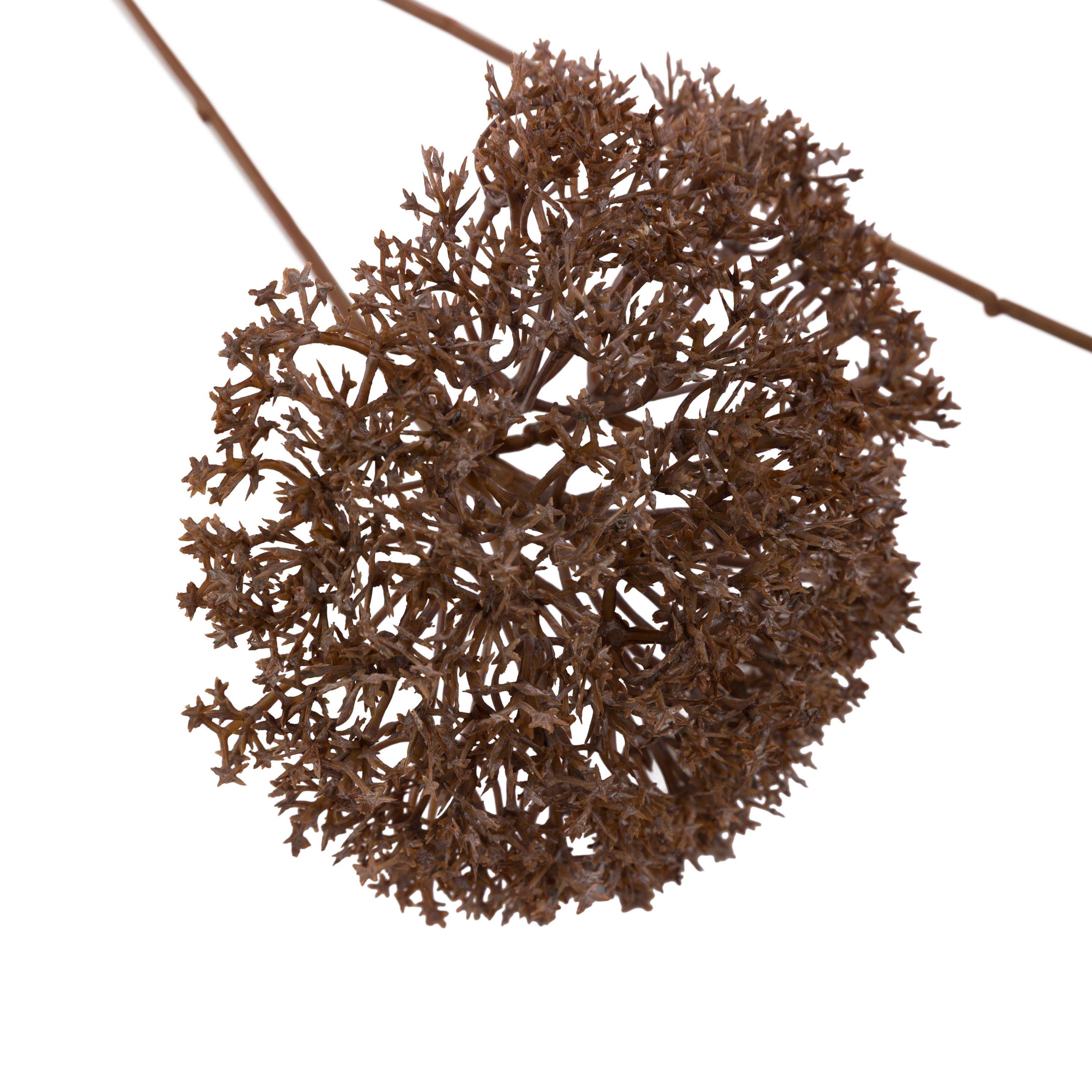 900mm - Gallery - Gallery 3 Pk L Pom Pom 64 - 4