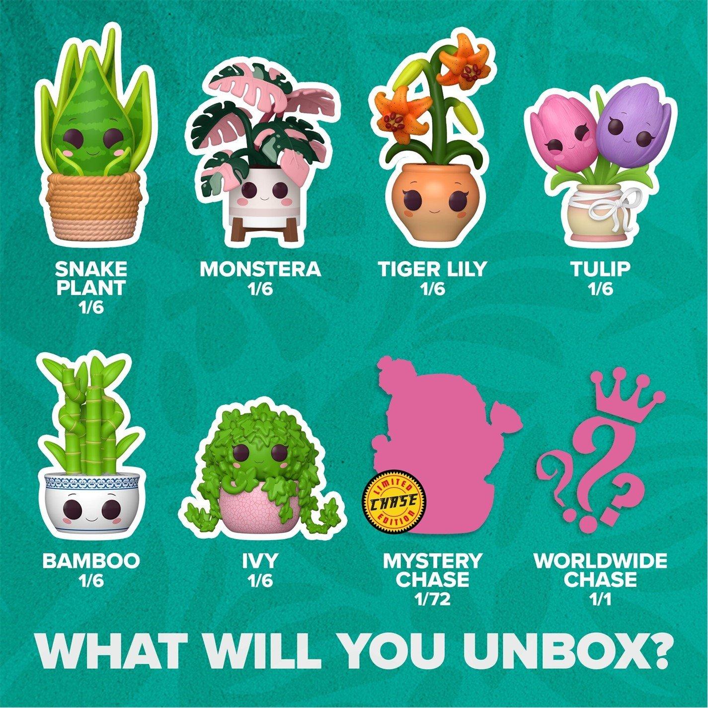 Plants S2 - FUNKO - POP Mystery POP! Plants - 2